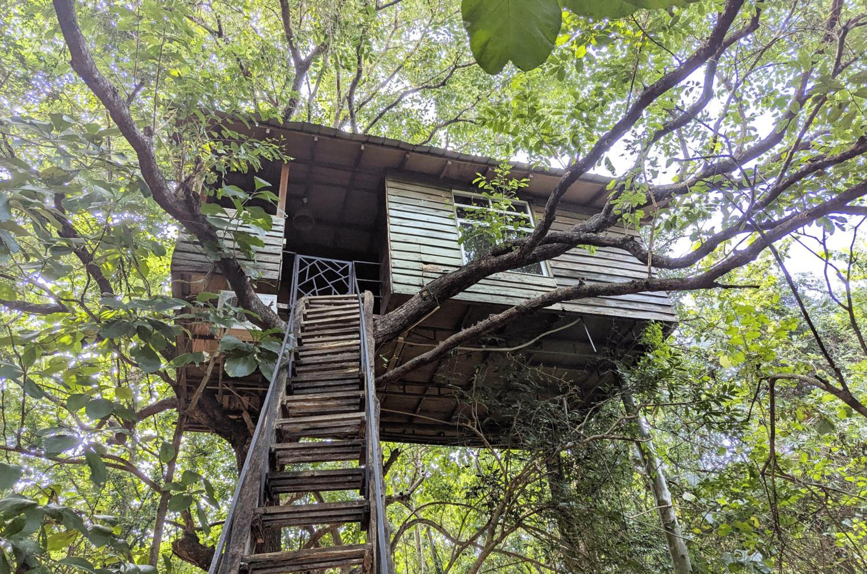 Superior Tree House  photo 1