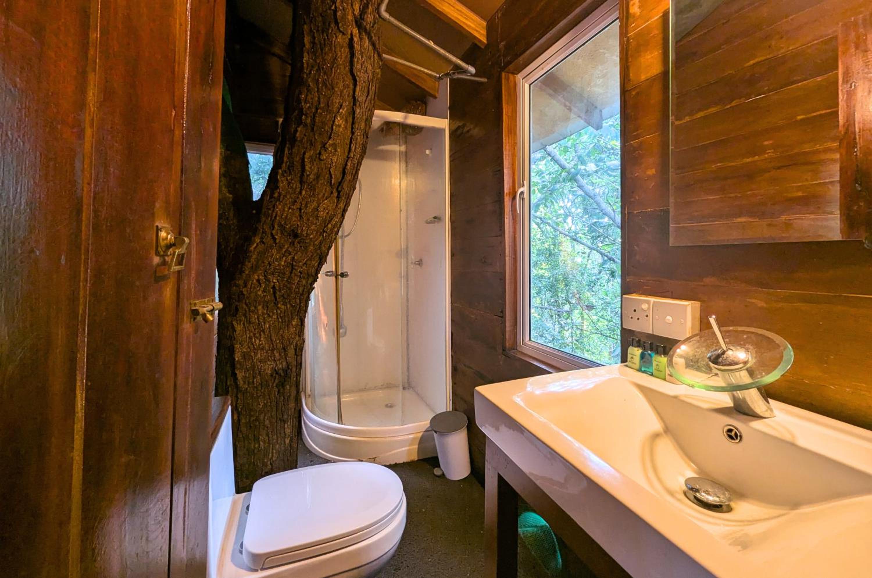 Superior Tree House  photo 2