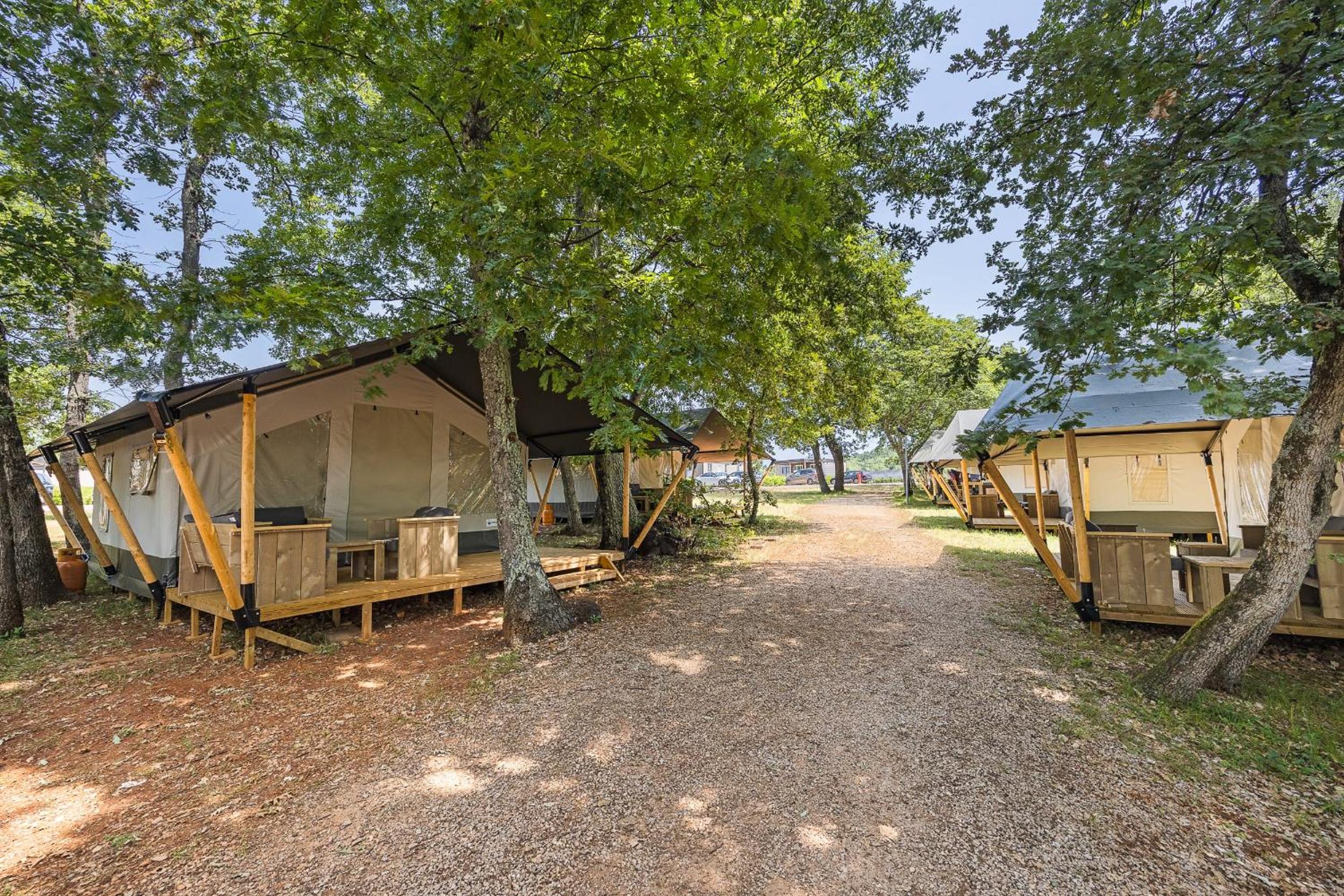 Safari Tent Cool (5p) photo 1