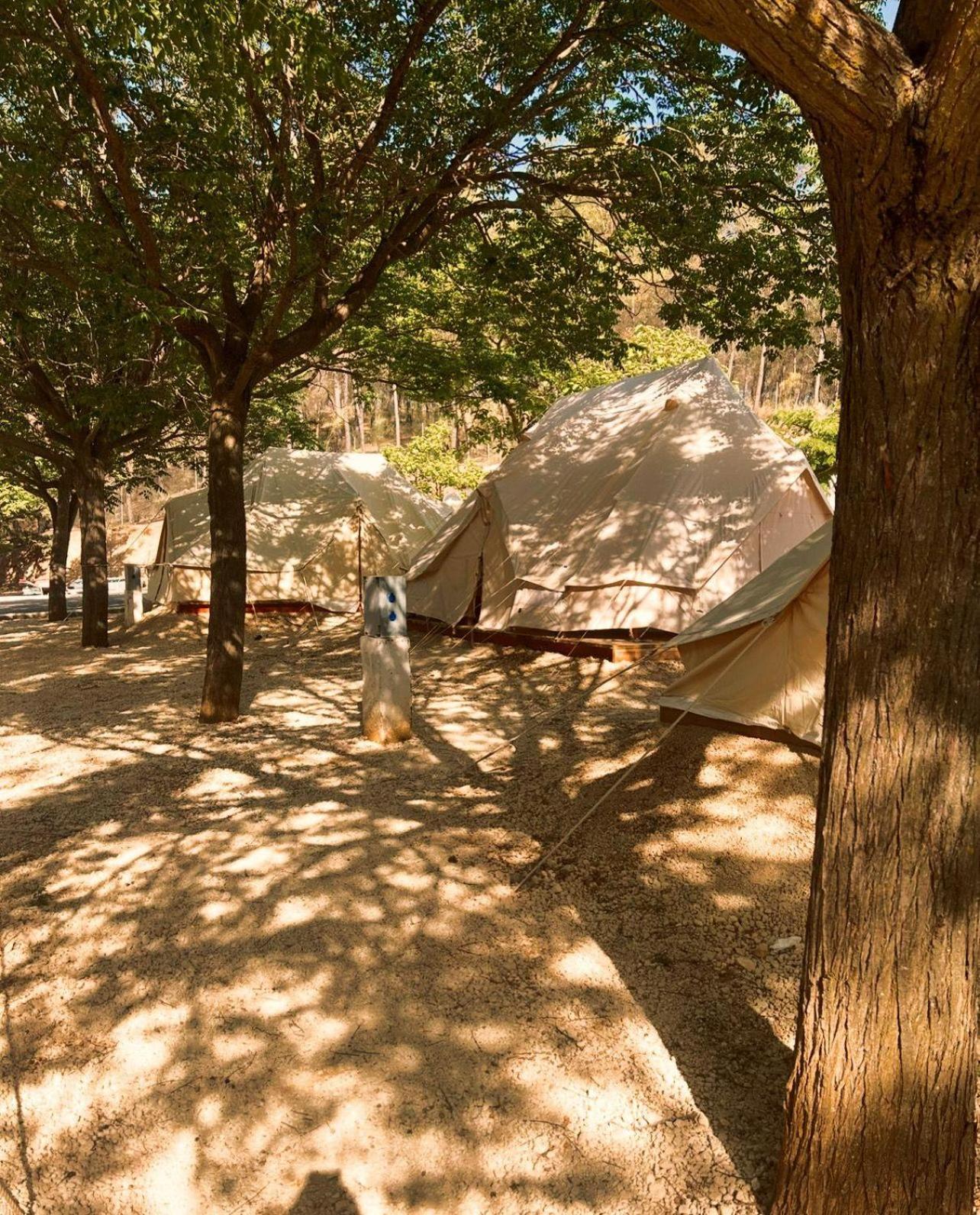 Tent photo 2