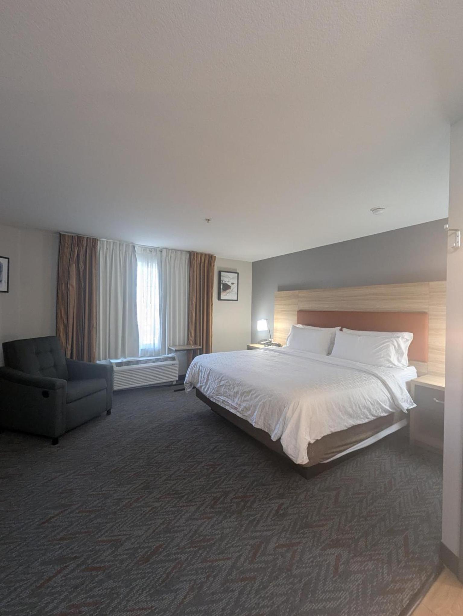 Studio Suite - Photo 3