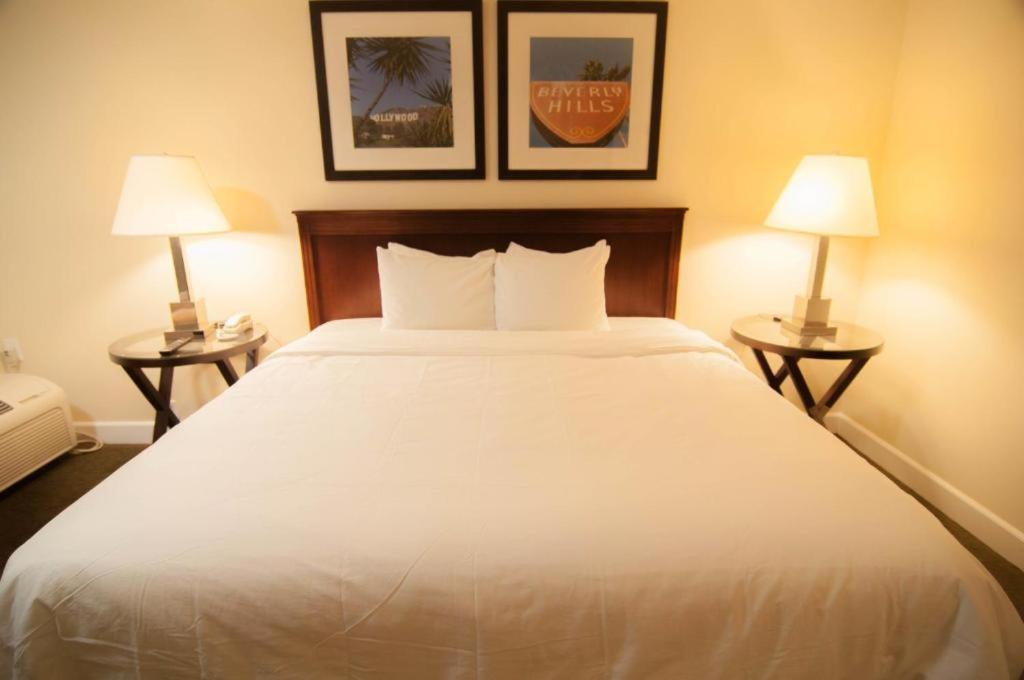 Large Single Room photo 2