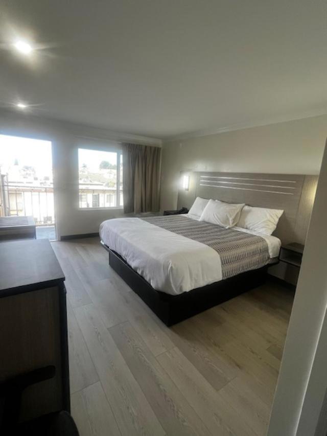 Large Single Room photo 1