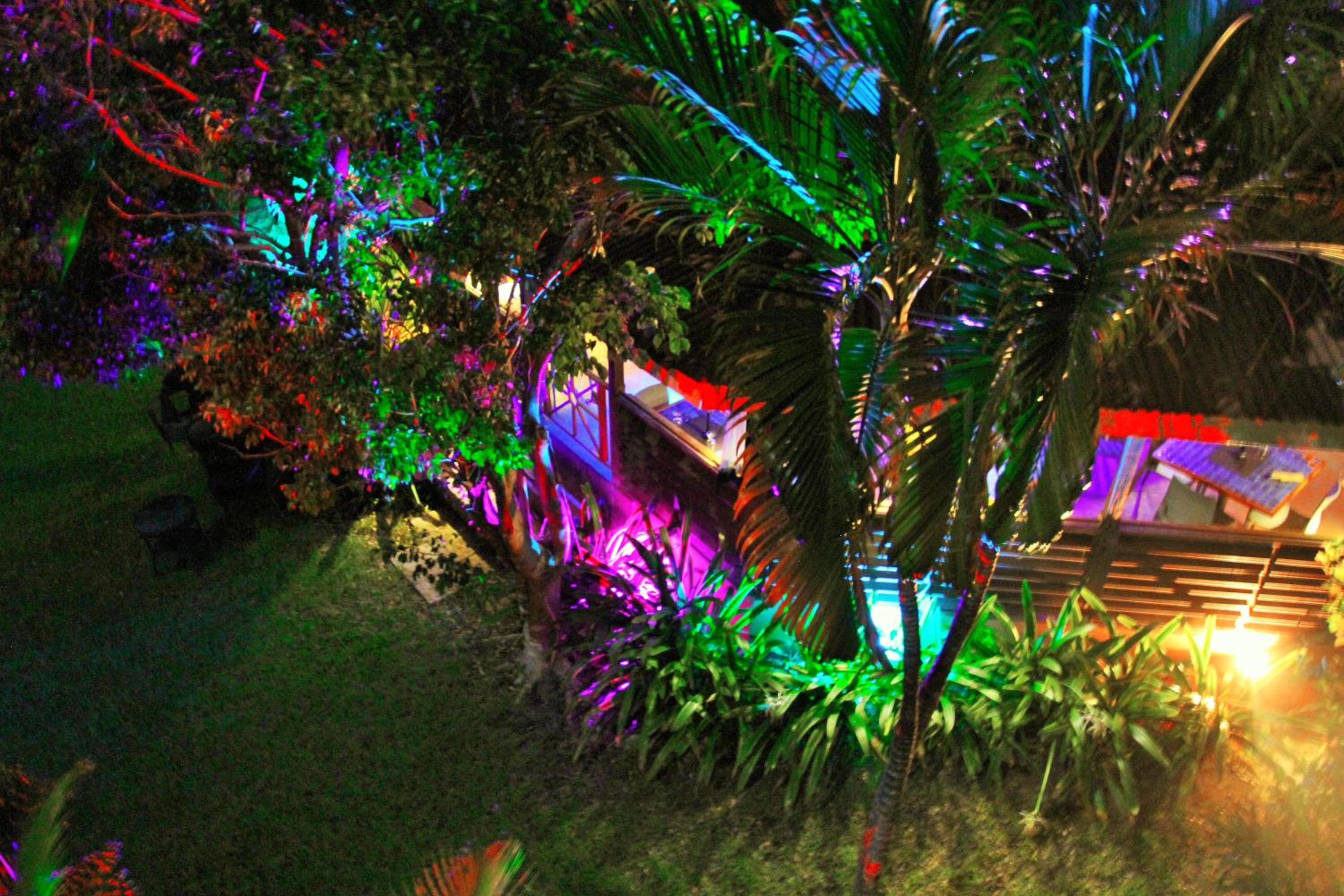Garden Dream Room