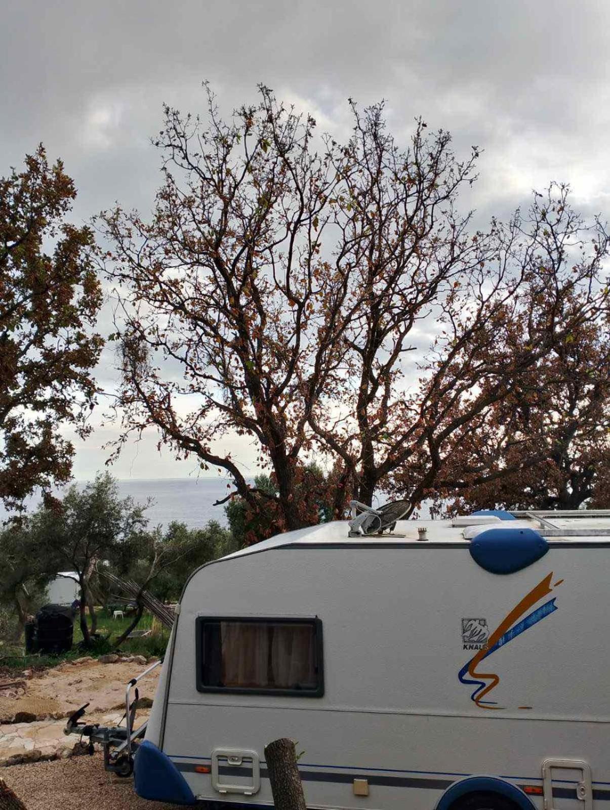 Caravan