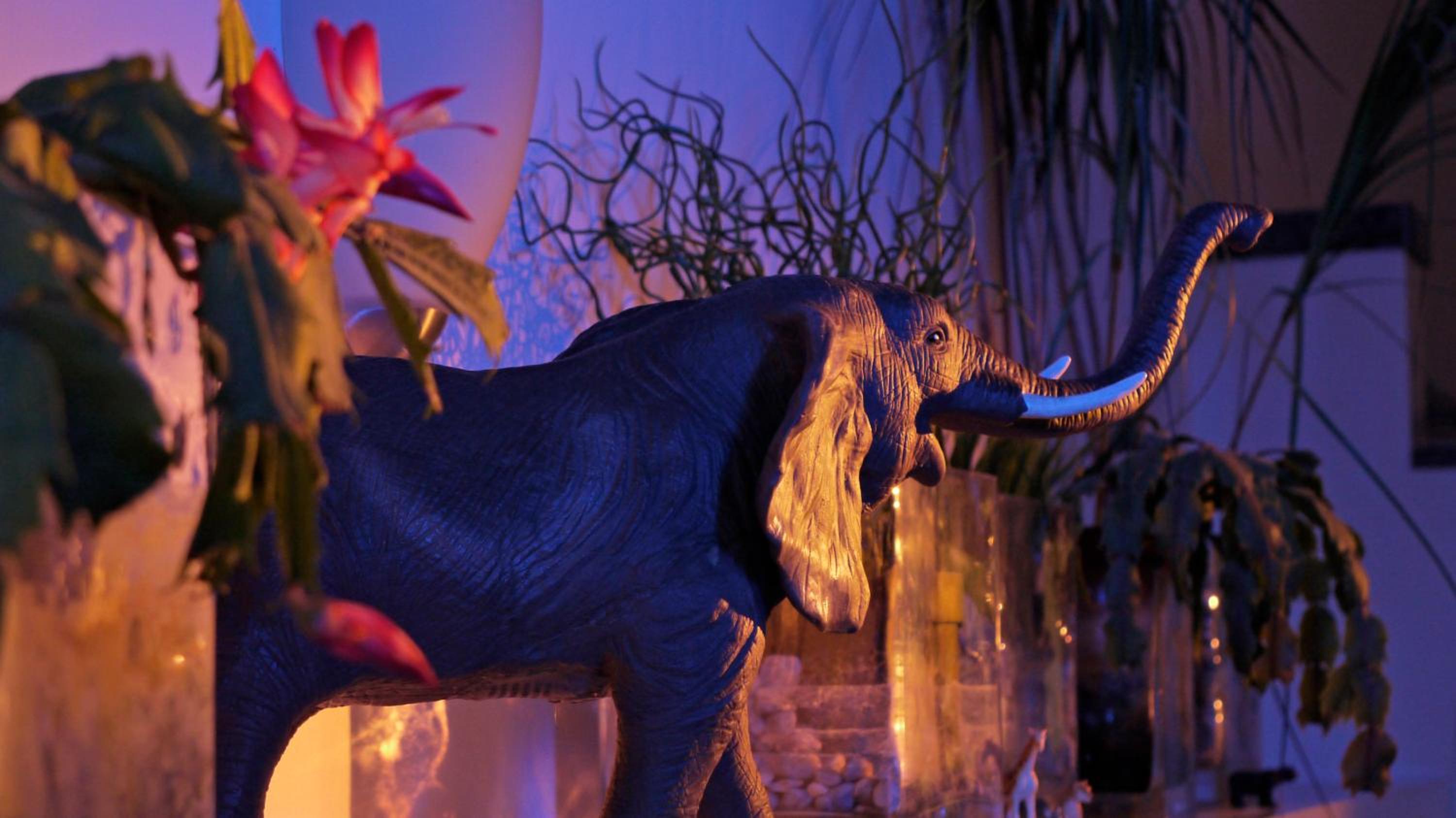 Standard Theme Room  - Photo 10