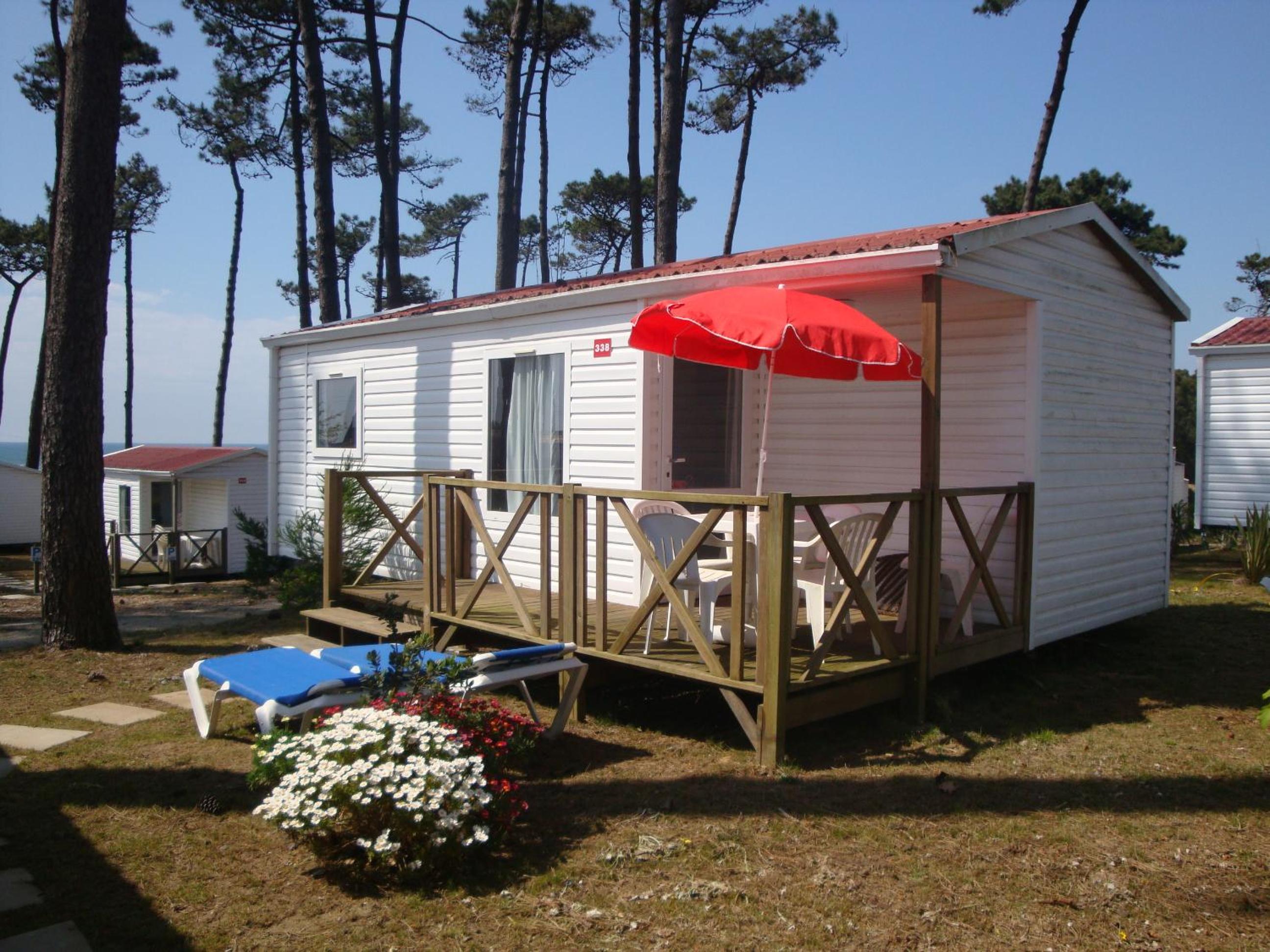 Mobile Home photo 2