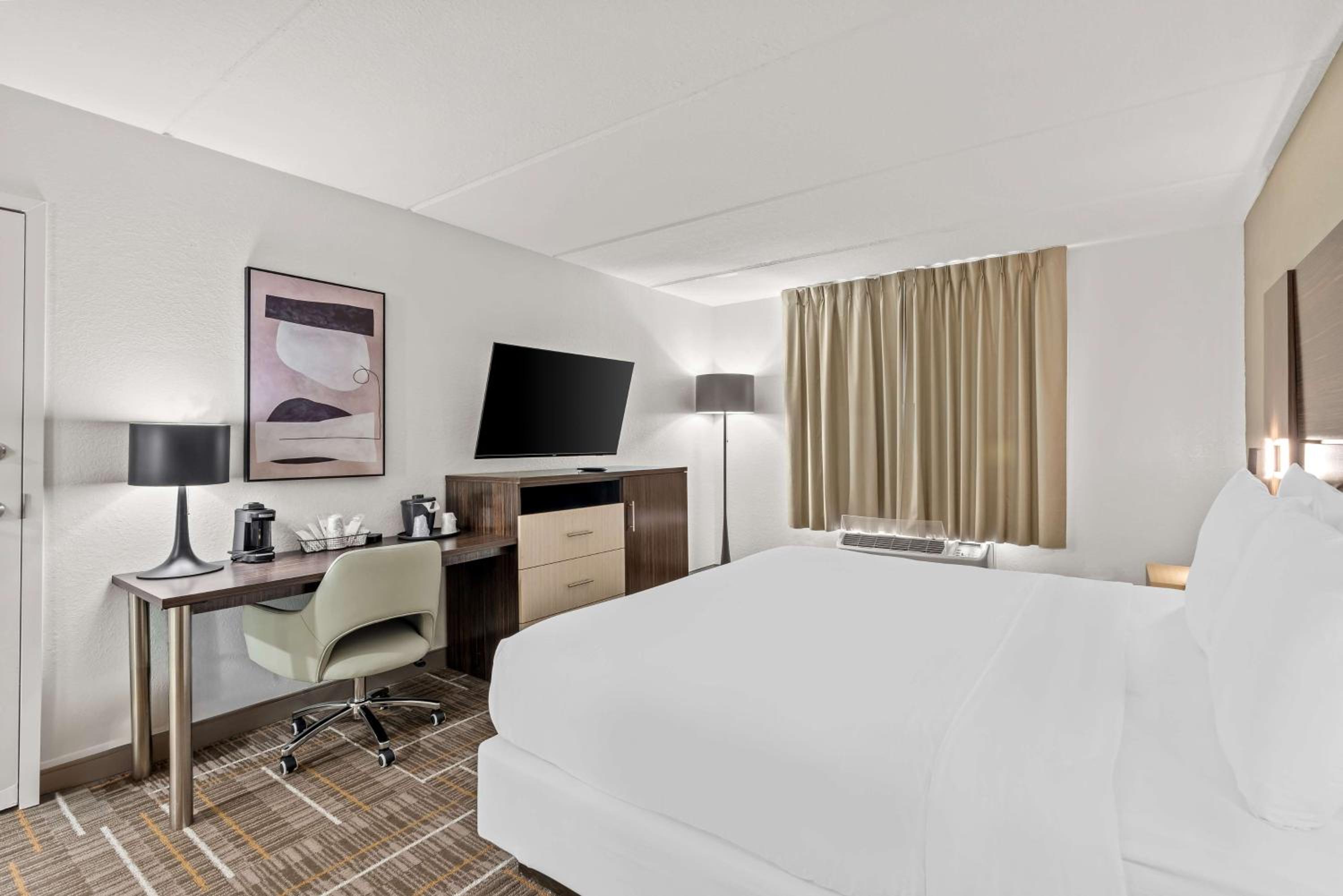 King Room with Roll-In Shower - Disabilityi Access