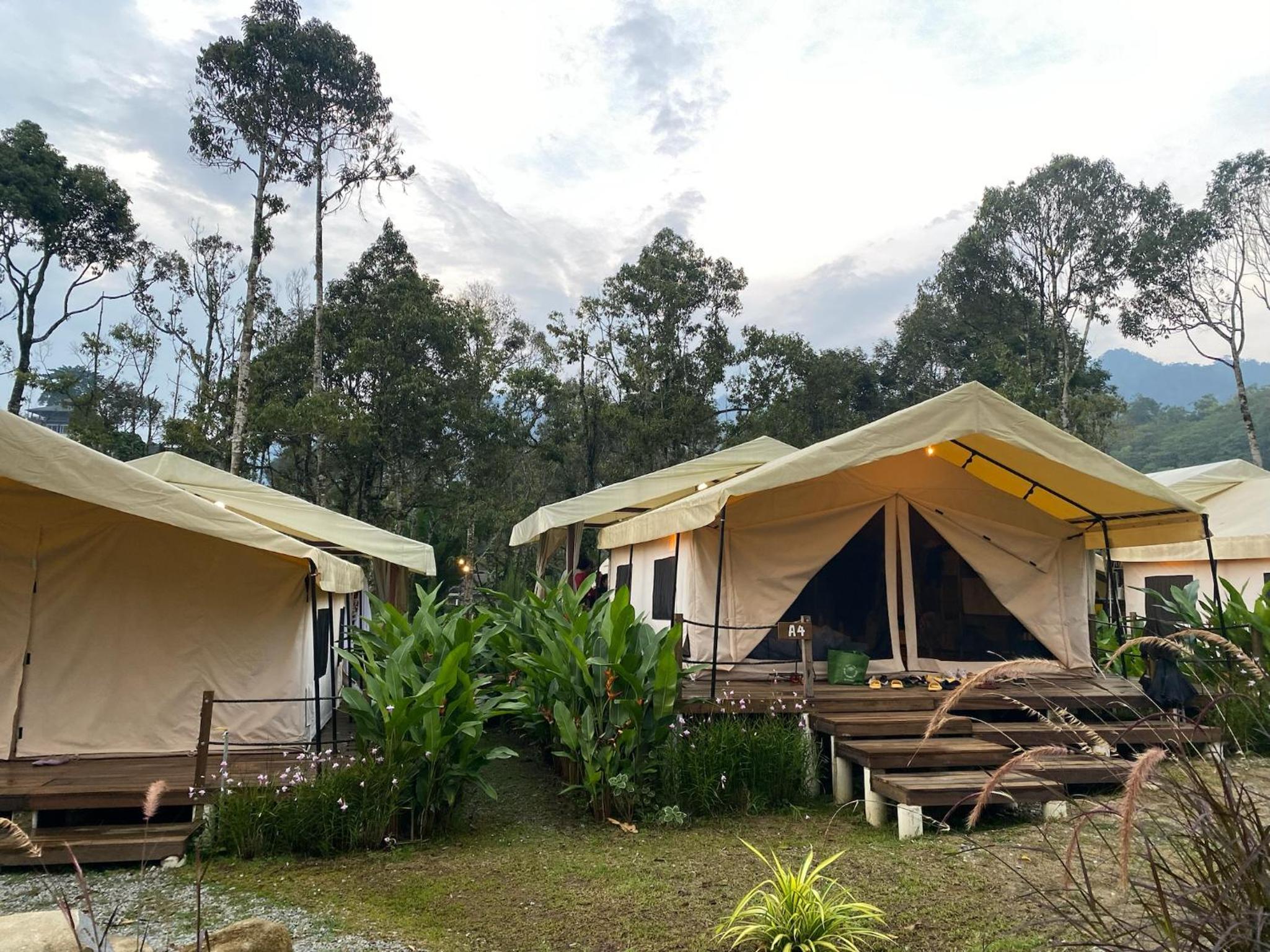Safari Garden Tent photo 2
