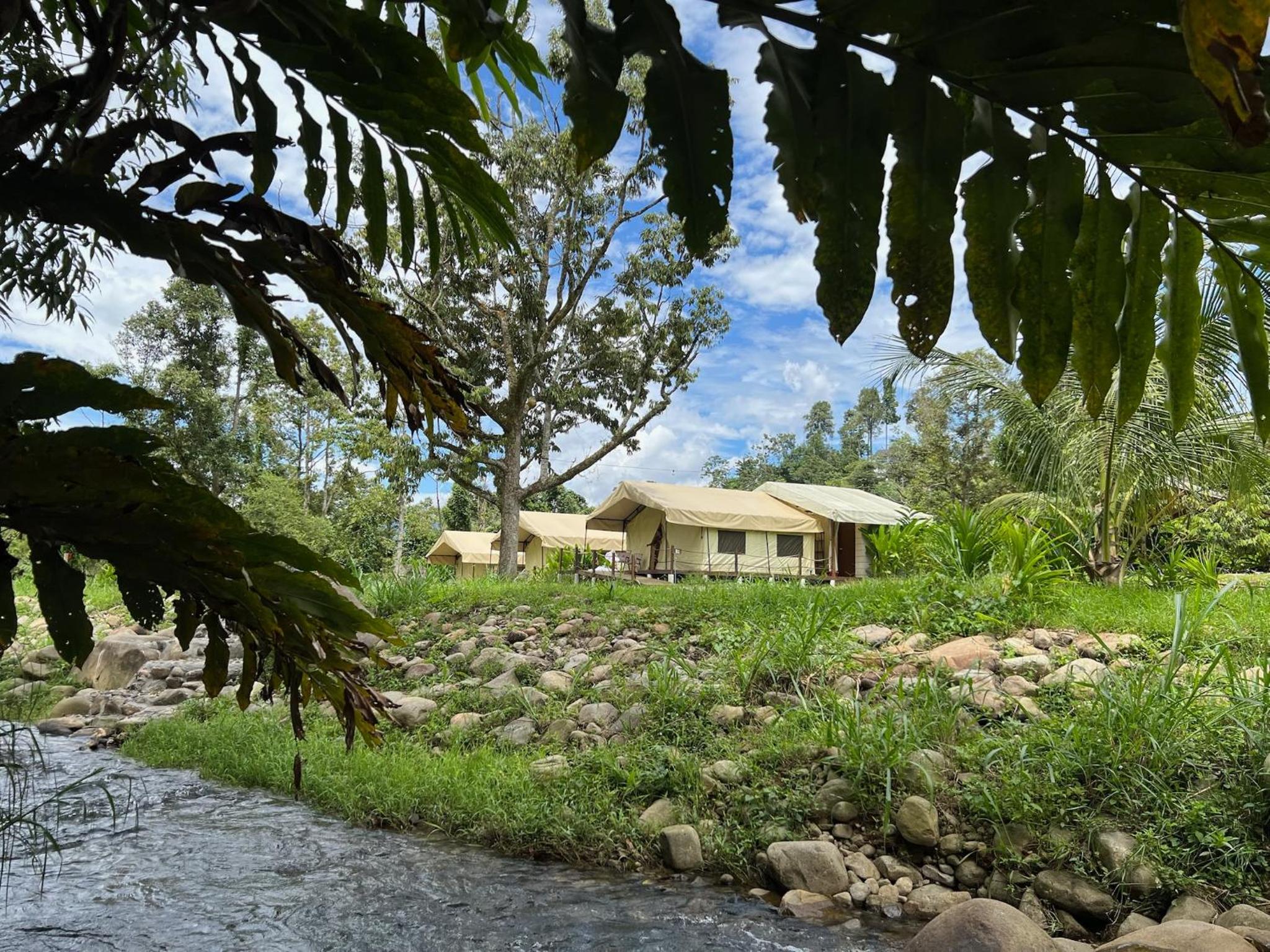 Safari River Tent photo 3