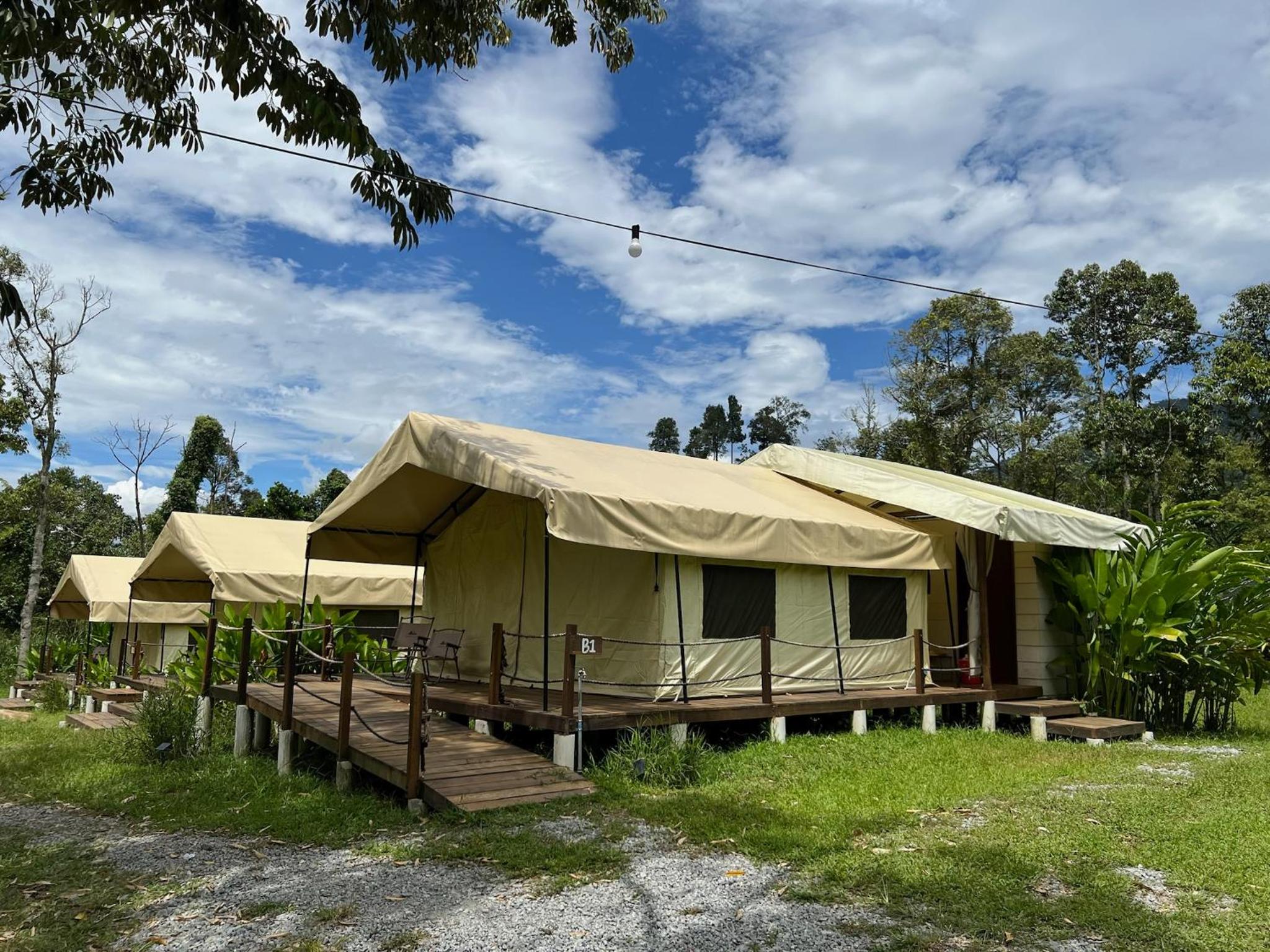 Safari River Tent photo 3