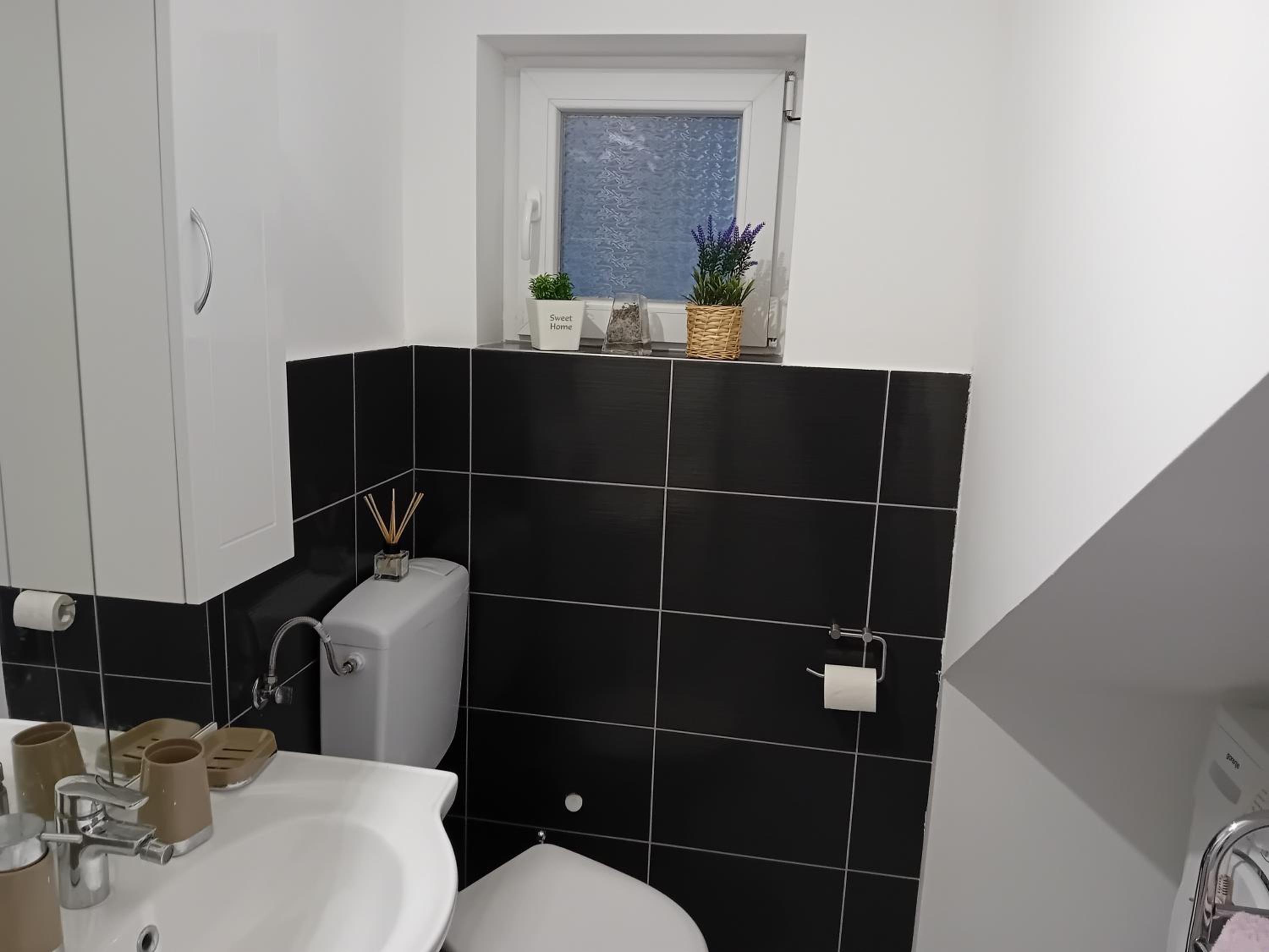 Deluxe One-Bedroom Apartment