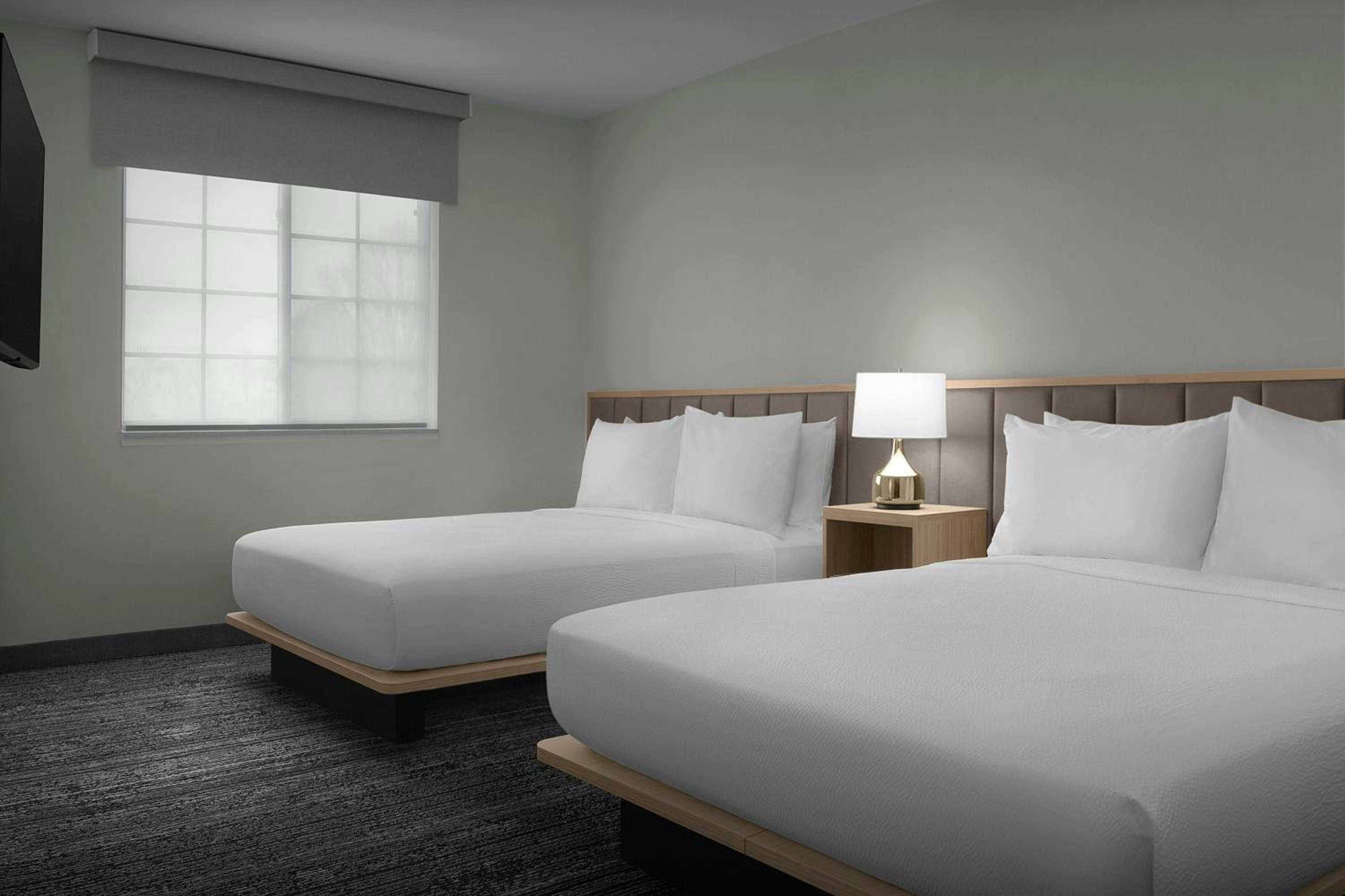Queen Studio with Sofa Bed - Hearing Accessible photo 3