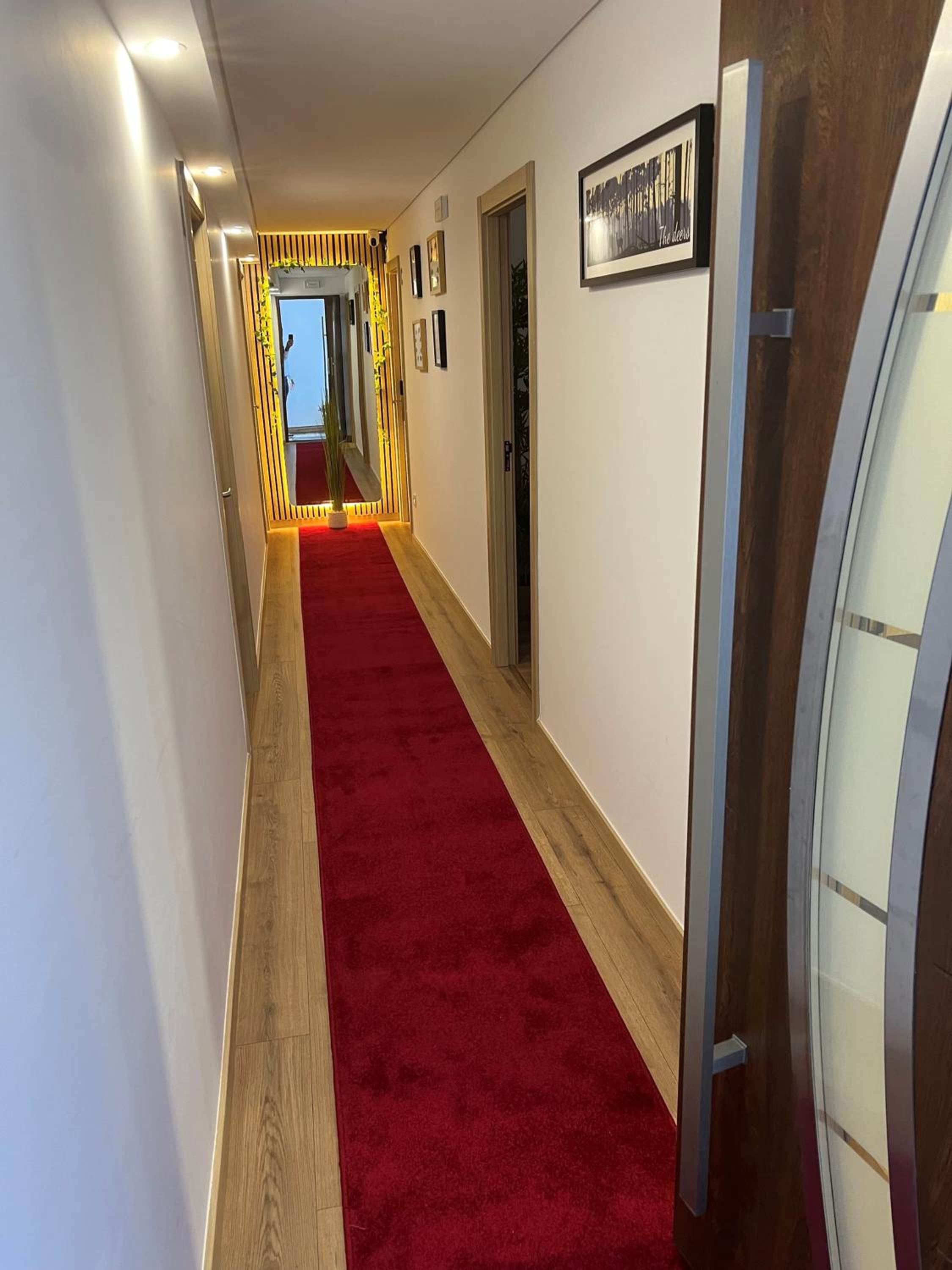 Studio Apartment with King Bed
