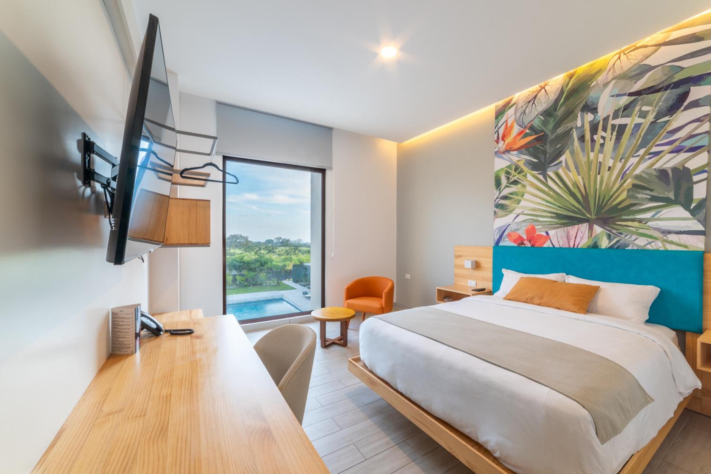 Deluxe Room photo 3