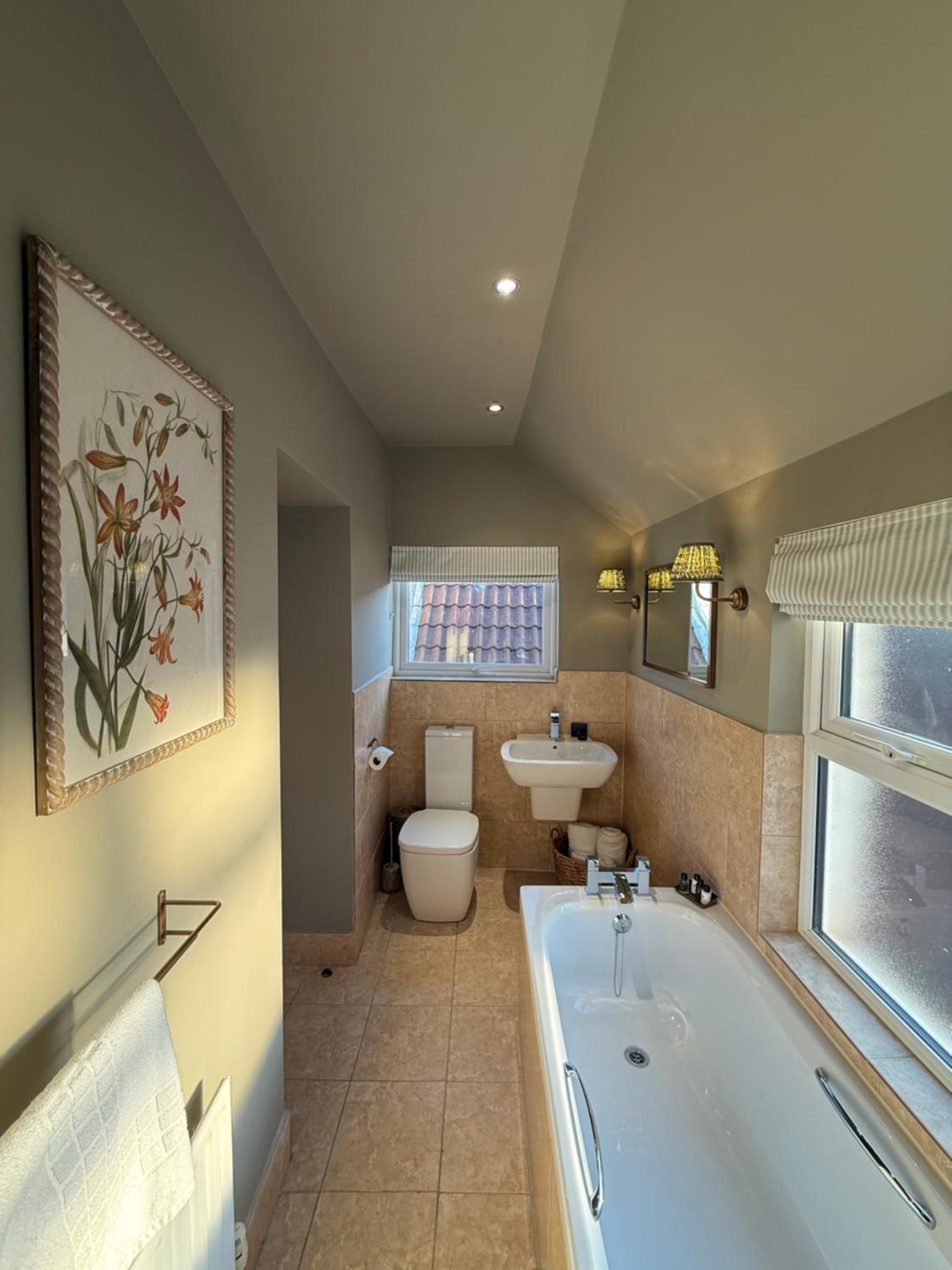 Deluxe King Suite - Photo 6