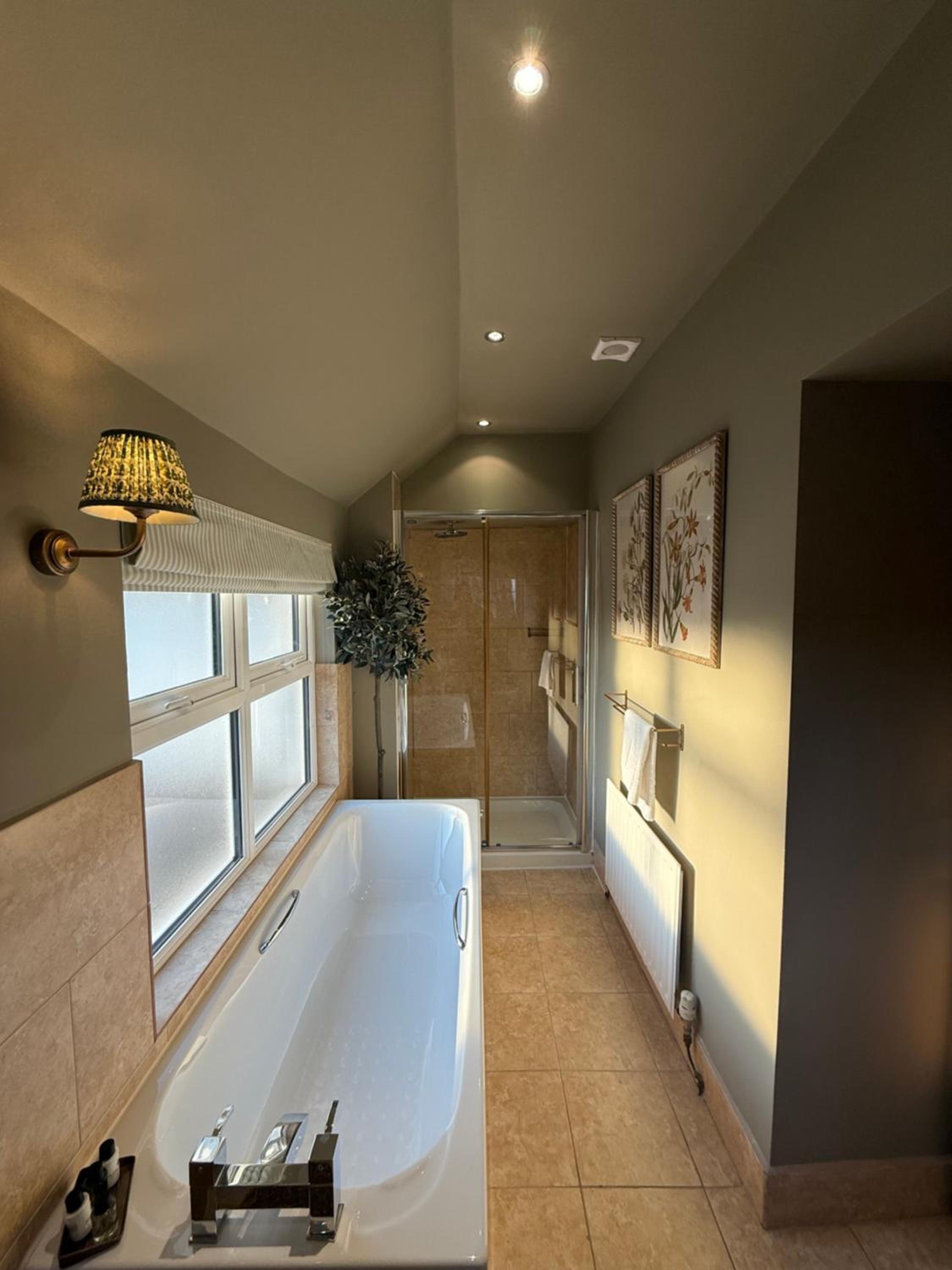 Deluxe King Suite - Photo 11