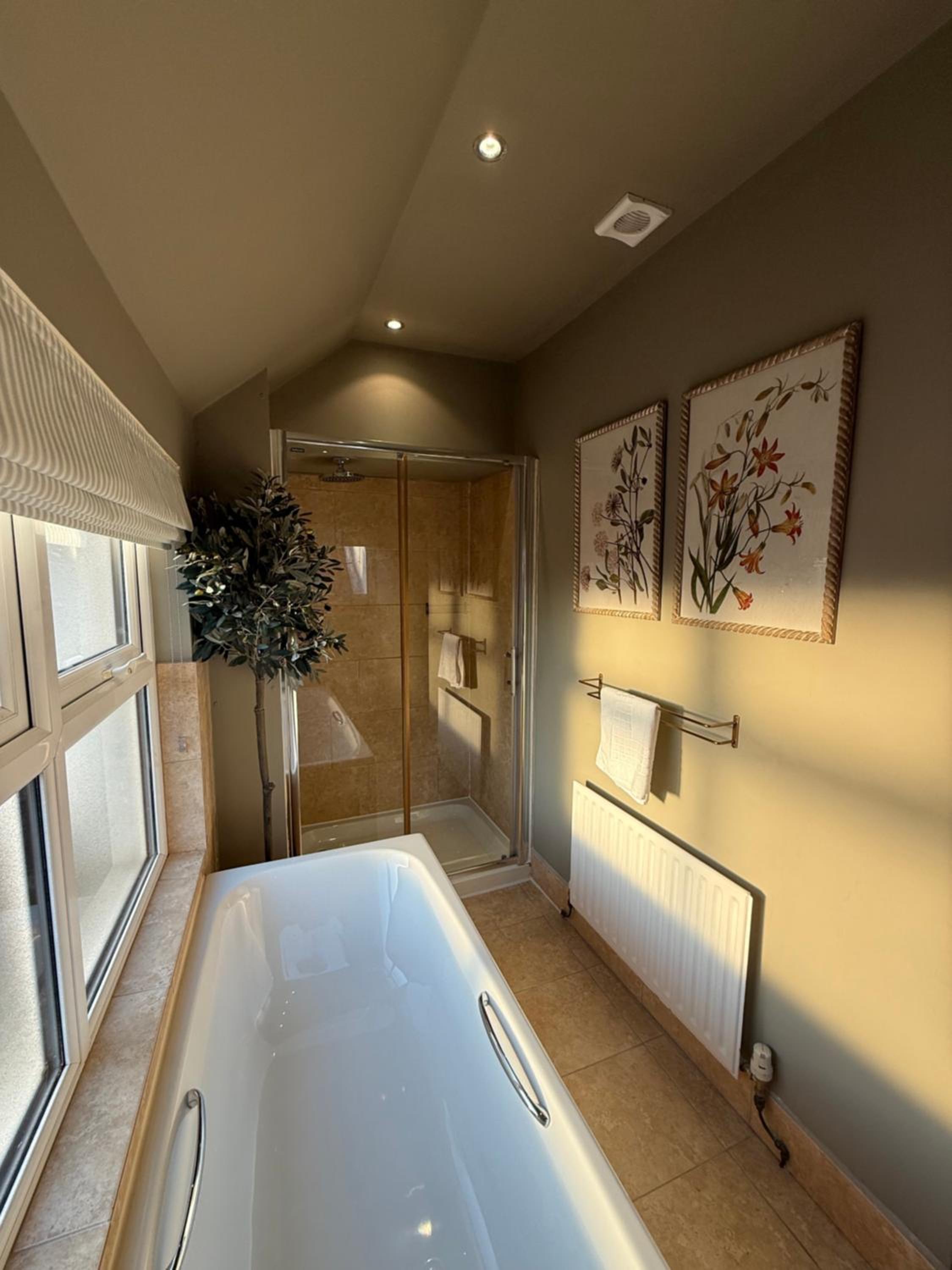 Deluxe King Suite - Photo 8