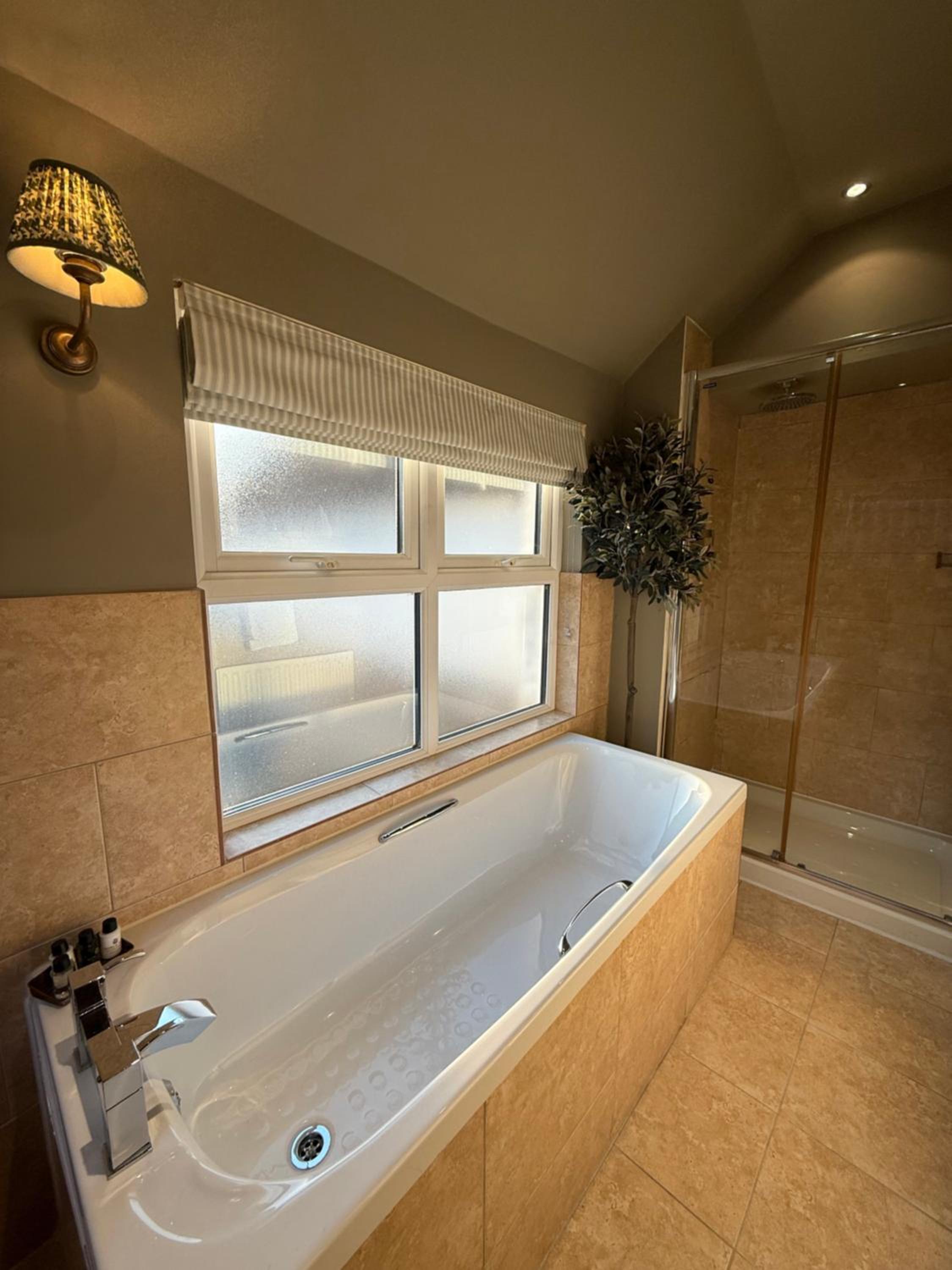 Deluxe King Suite - Photo 9
