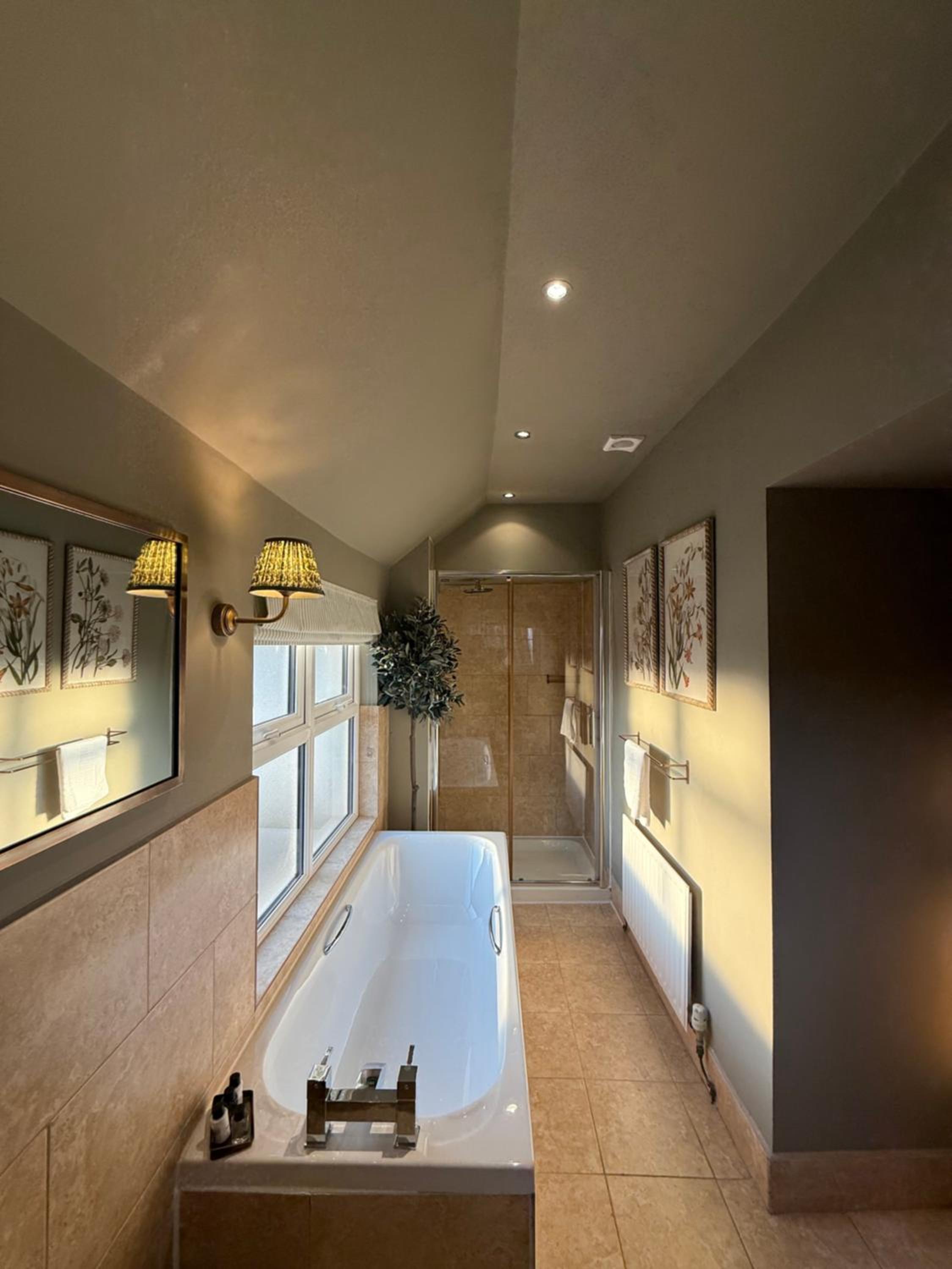 Deluxe King Suite - Photo 10