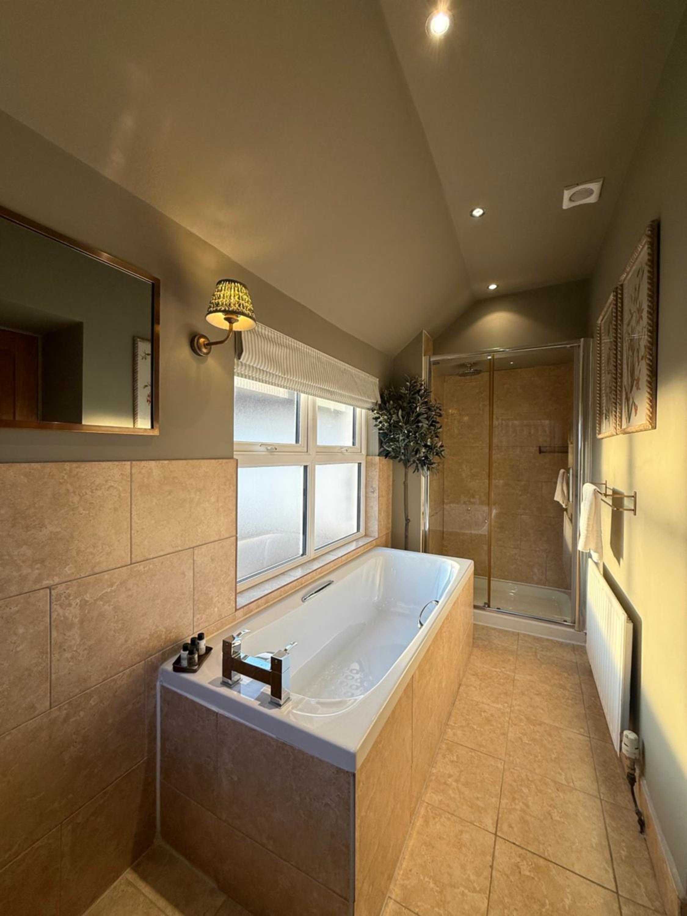 Deluxe King Suite - Photo 12