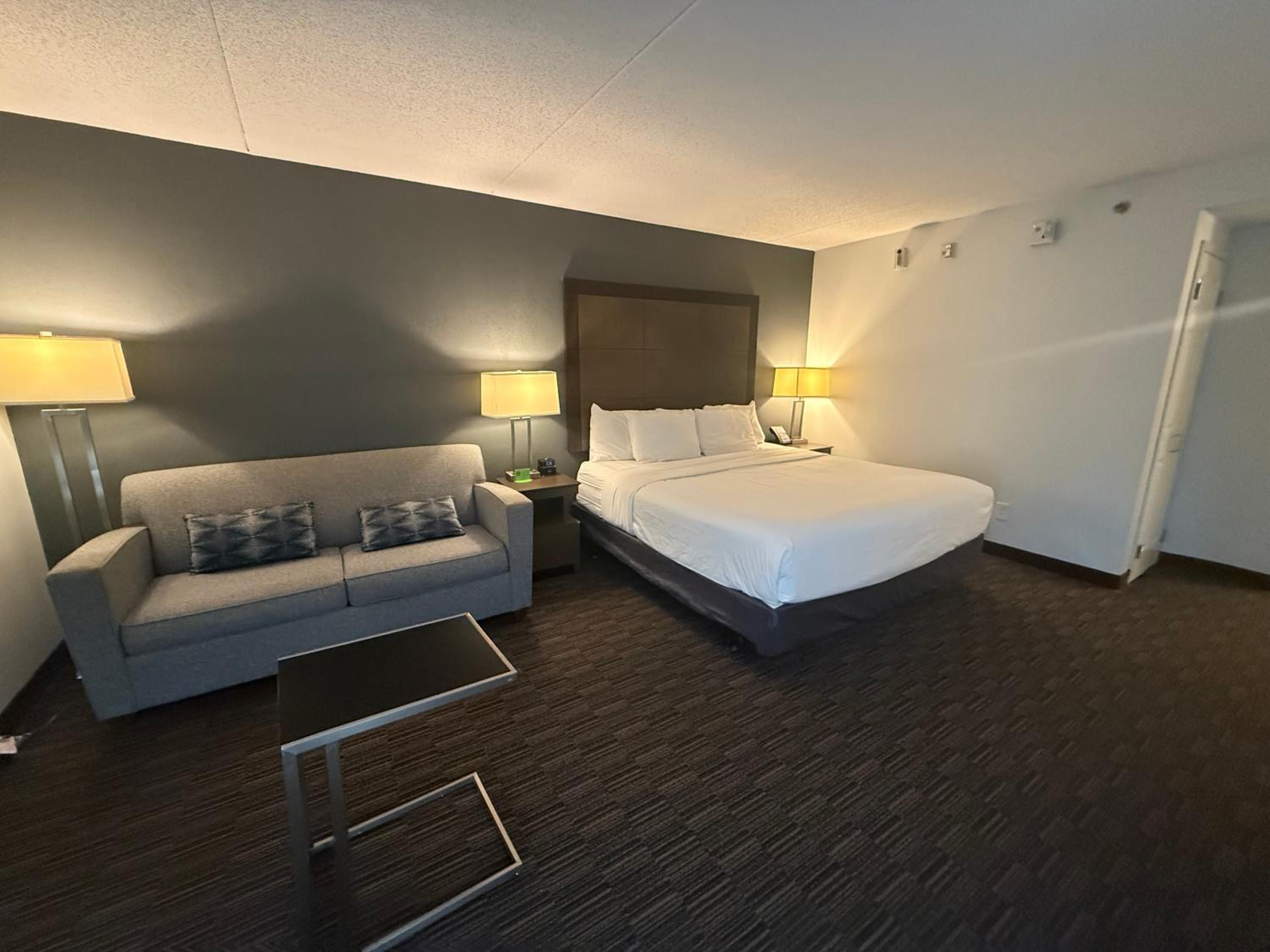 King Studio Suite - Non-Smoking - Photo 8