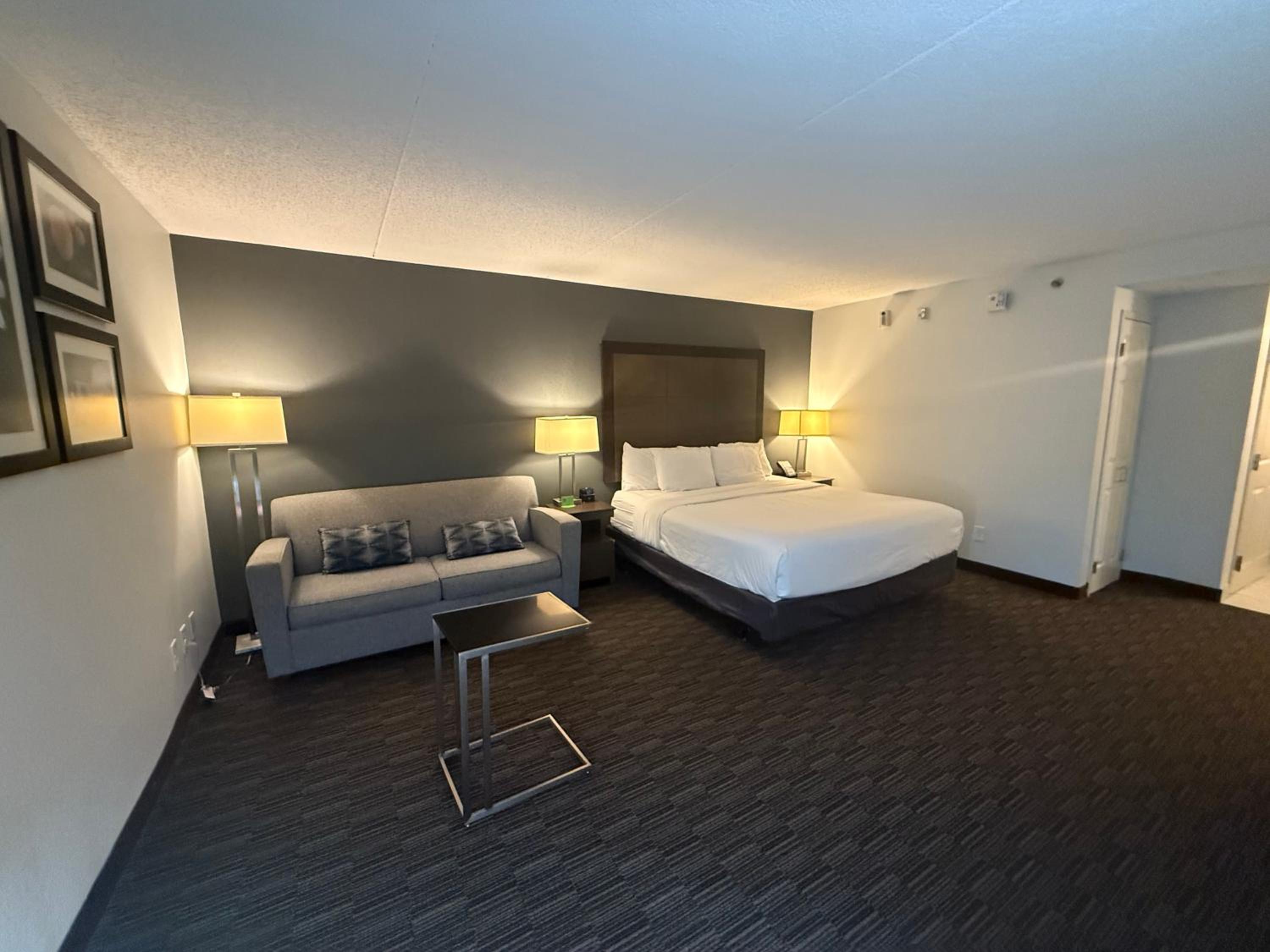 King Studio Suite - Mobility Access/Non-Smoking - Photo 6