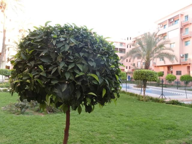 Apartment - Photo 40