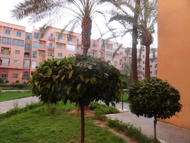 Apartment - Photo 43