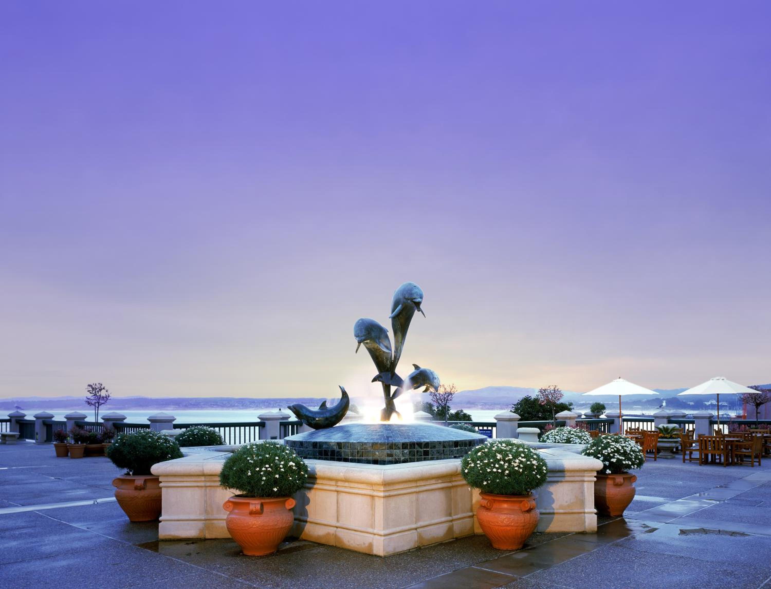 Partial Ocean View Queen/Queen - Photo 3