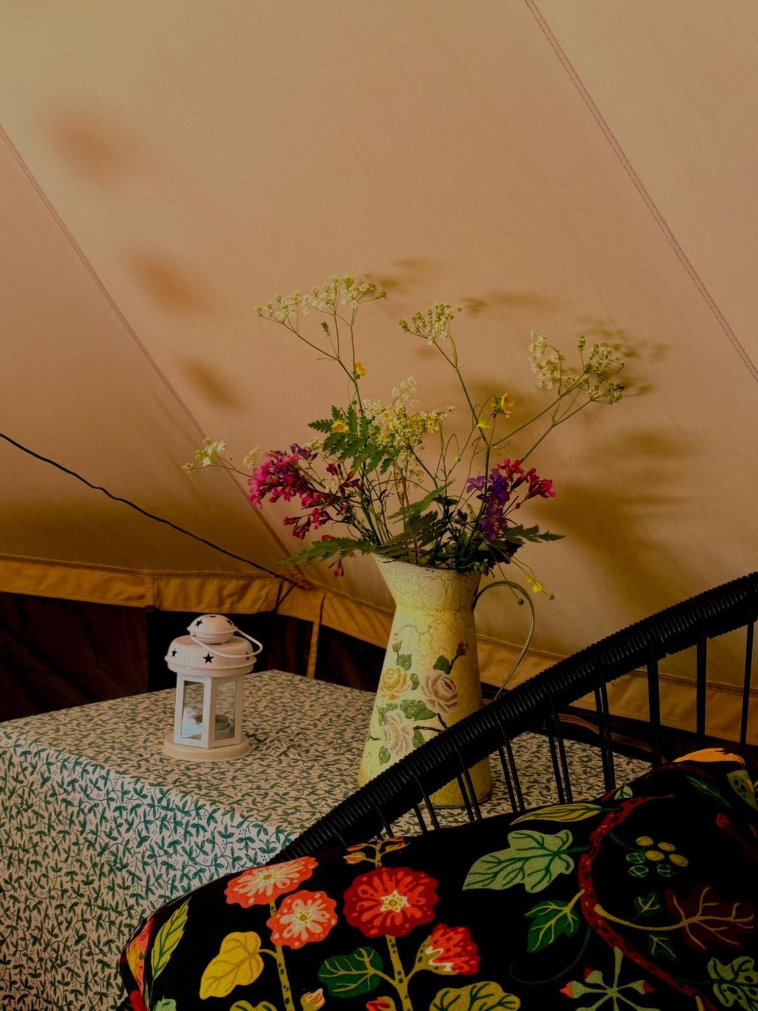 Tent photo 1