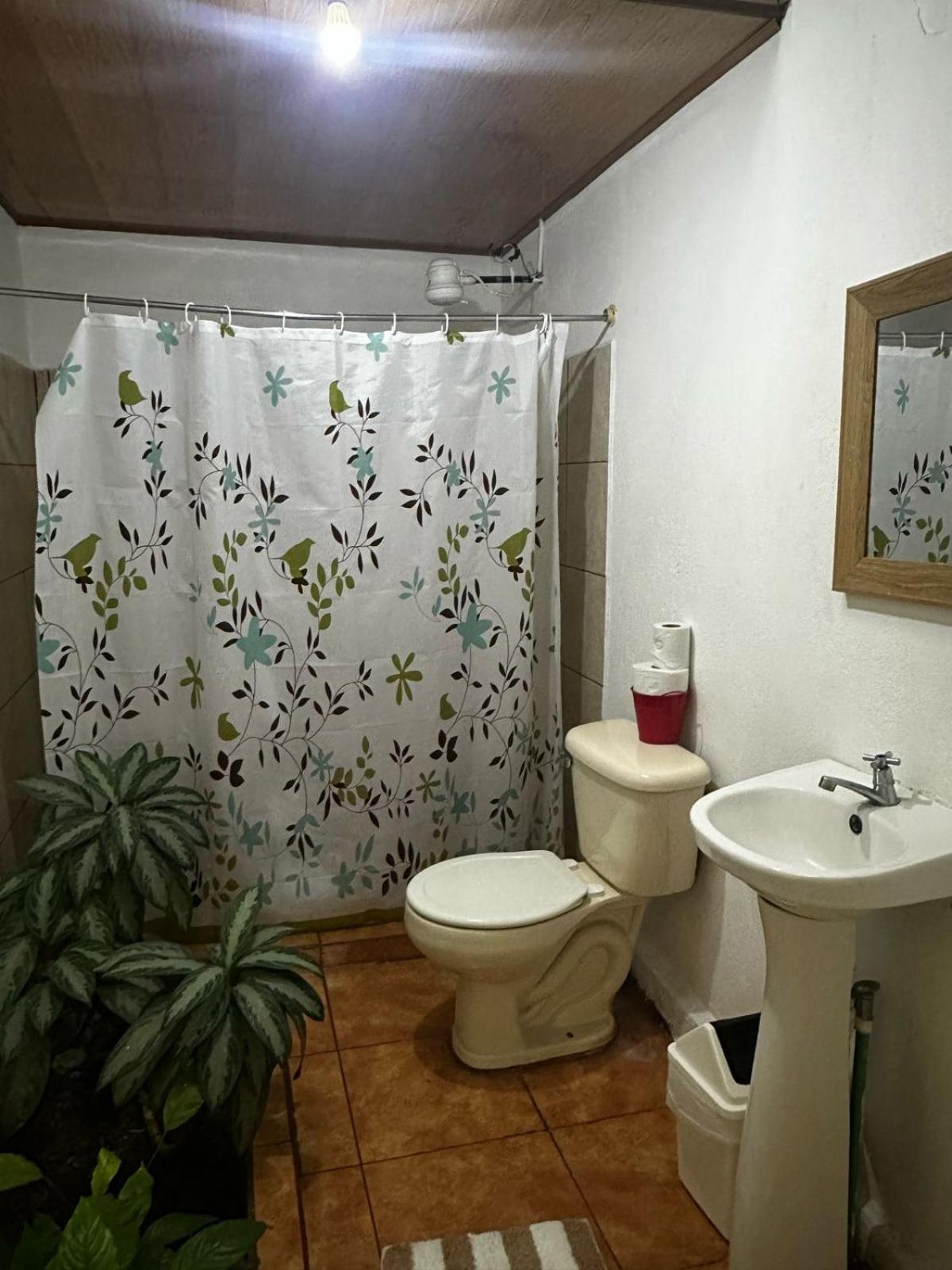 Standard Double Room photo 3