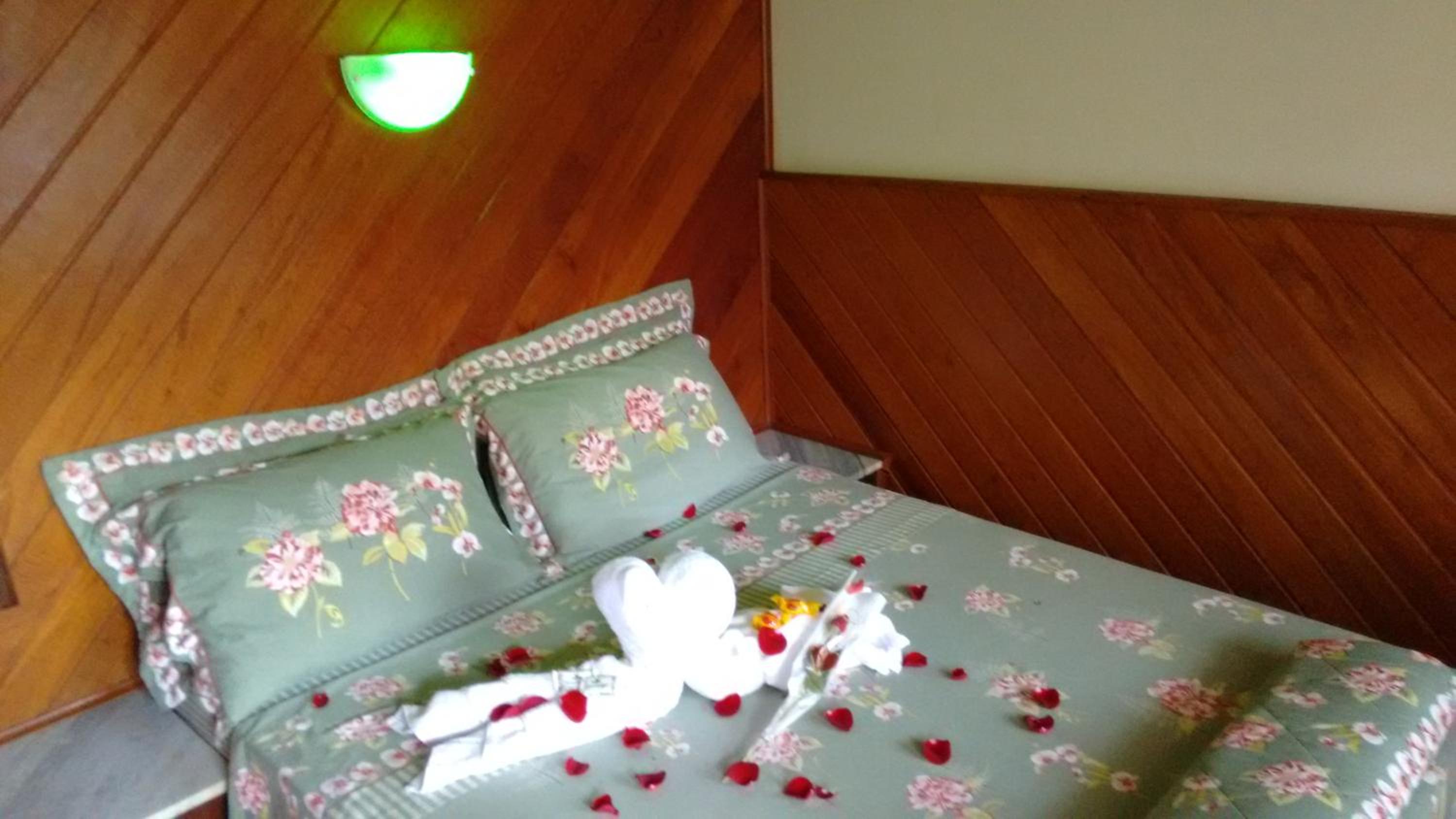 Standard Double Room - Photo 1