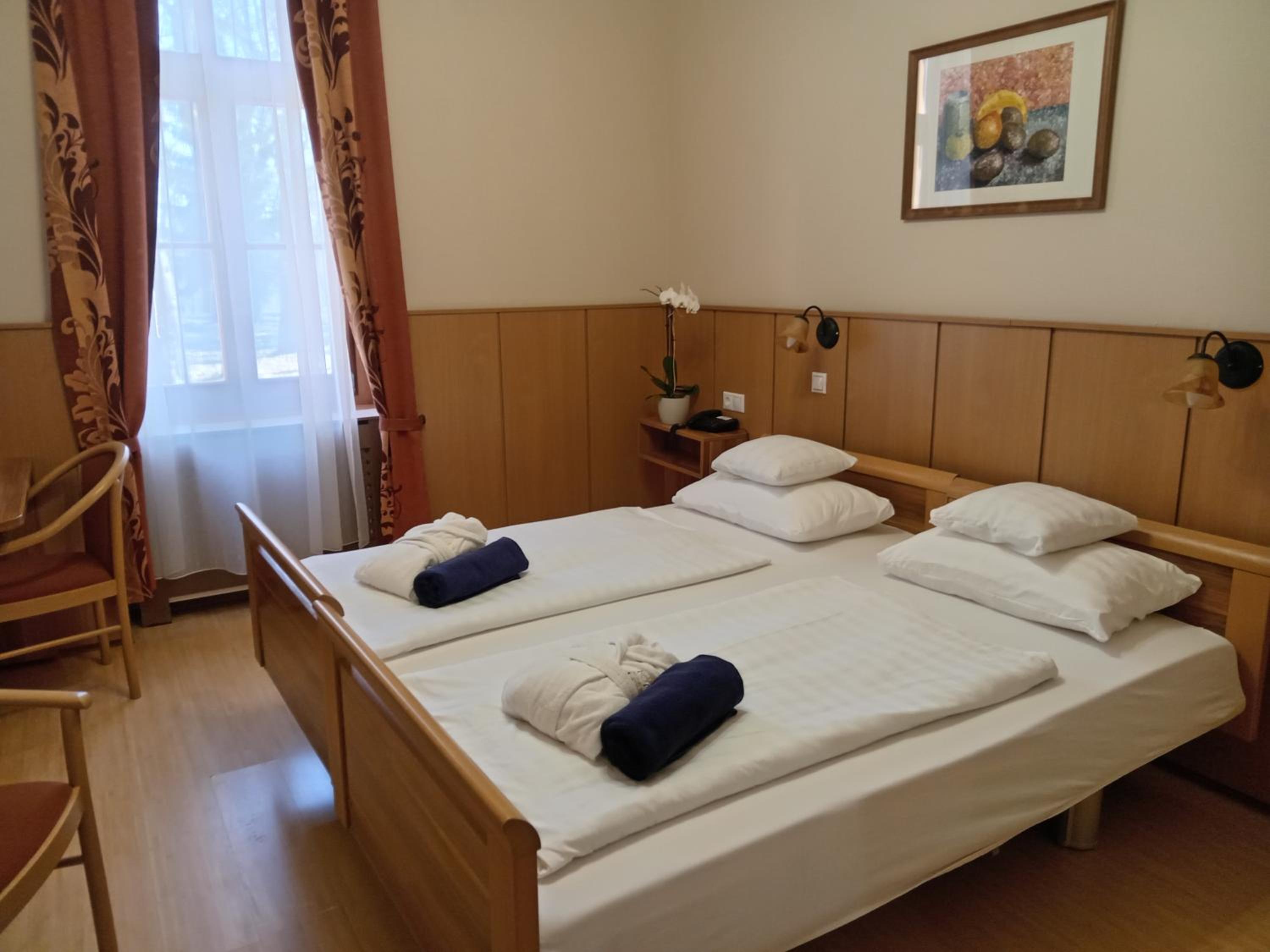 Double or Twin Room - Disability Access