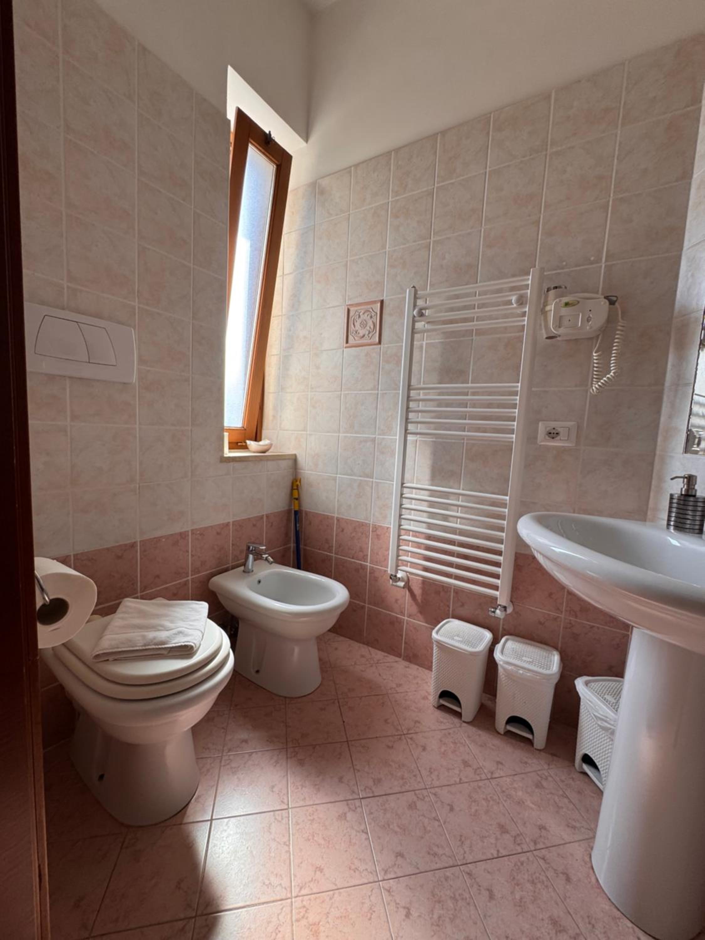 Deluxe Double or Twin Room photo 3