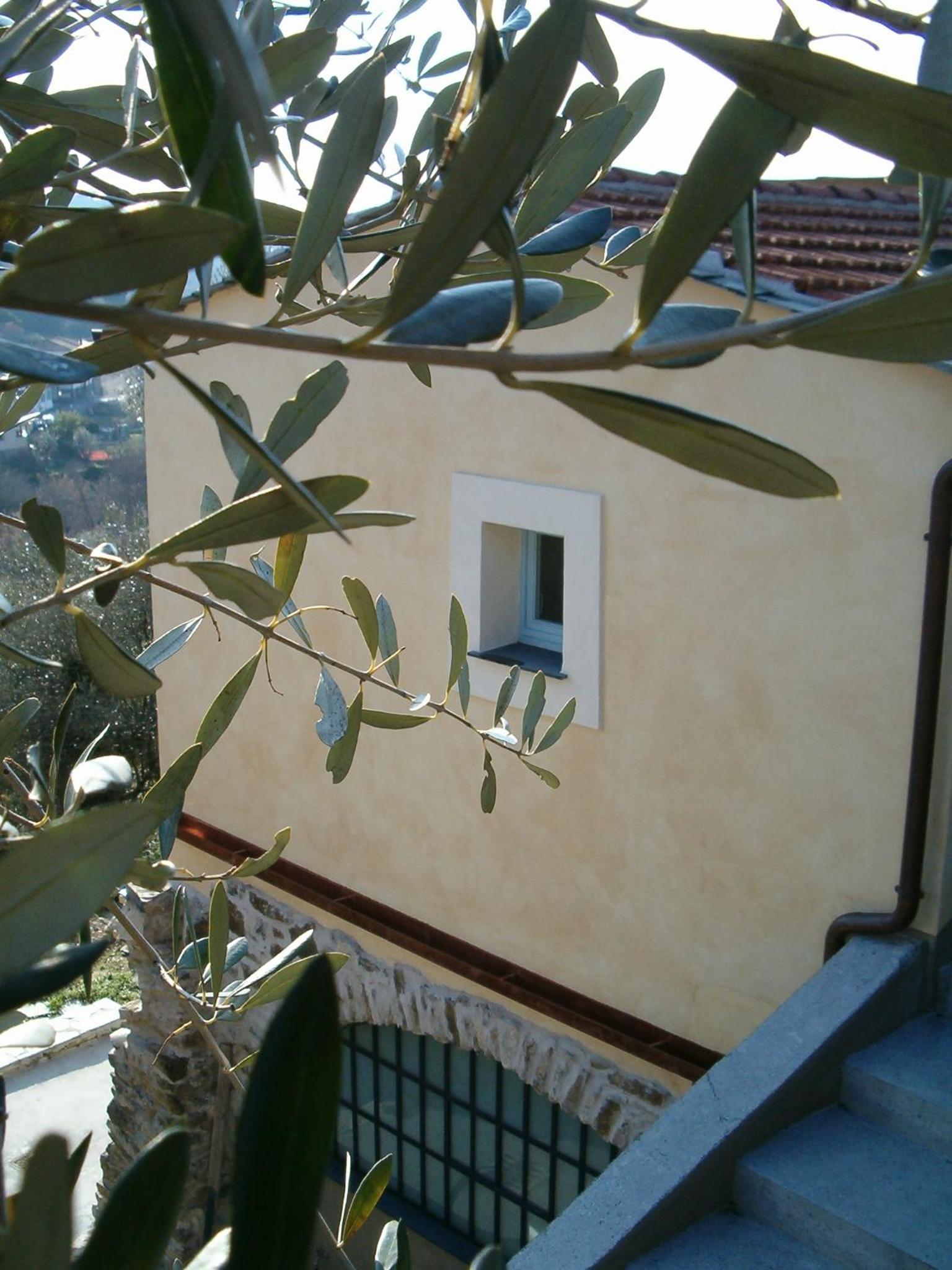 Studio with Terrace photo 2