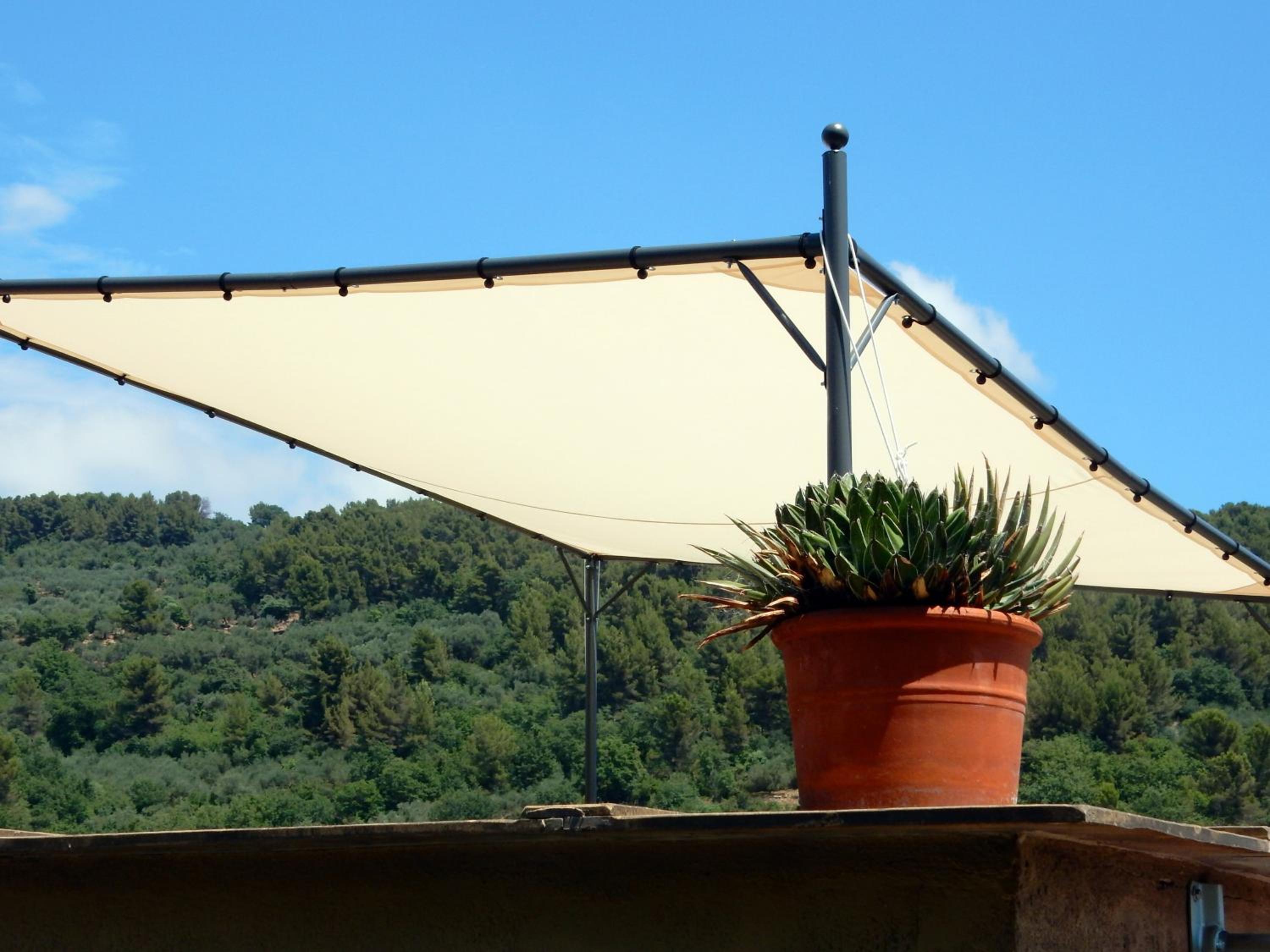 Studio with Terrace photo 3