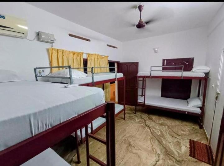 6-Bed Mixed Dormitory Room photo 1
