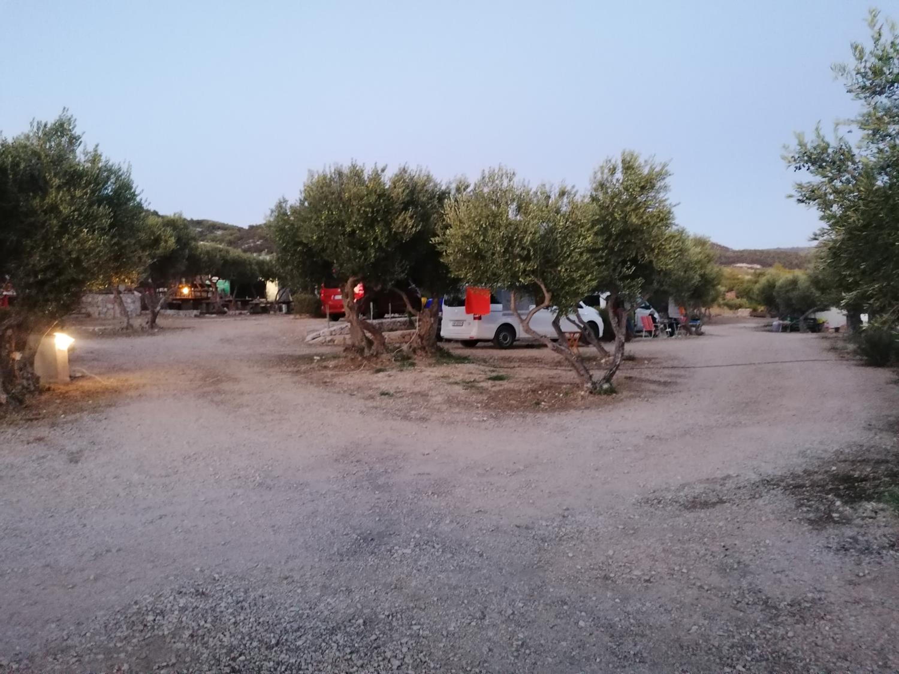 Empty Lot - Photo 2