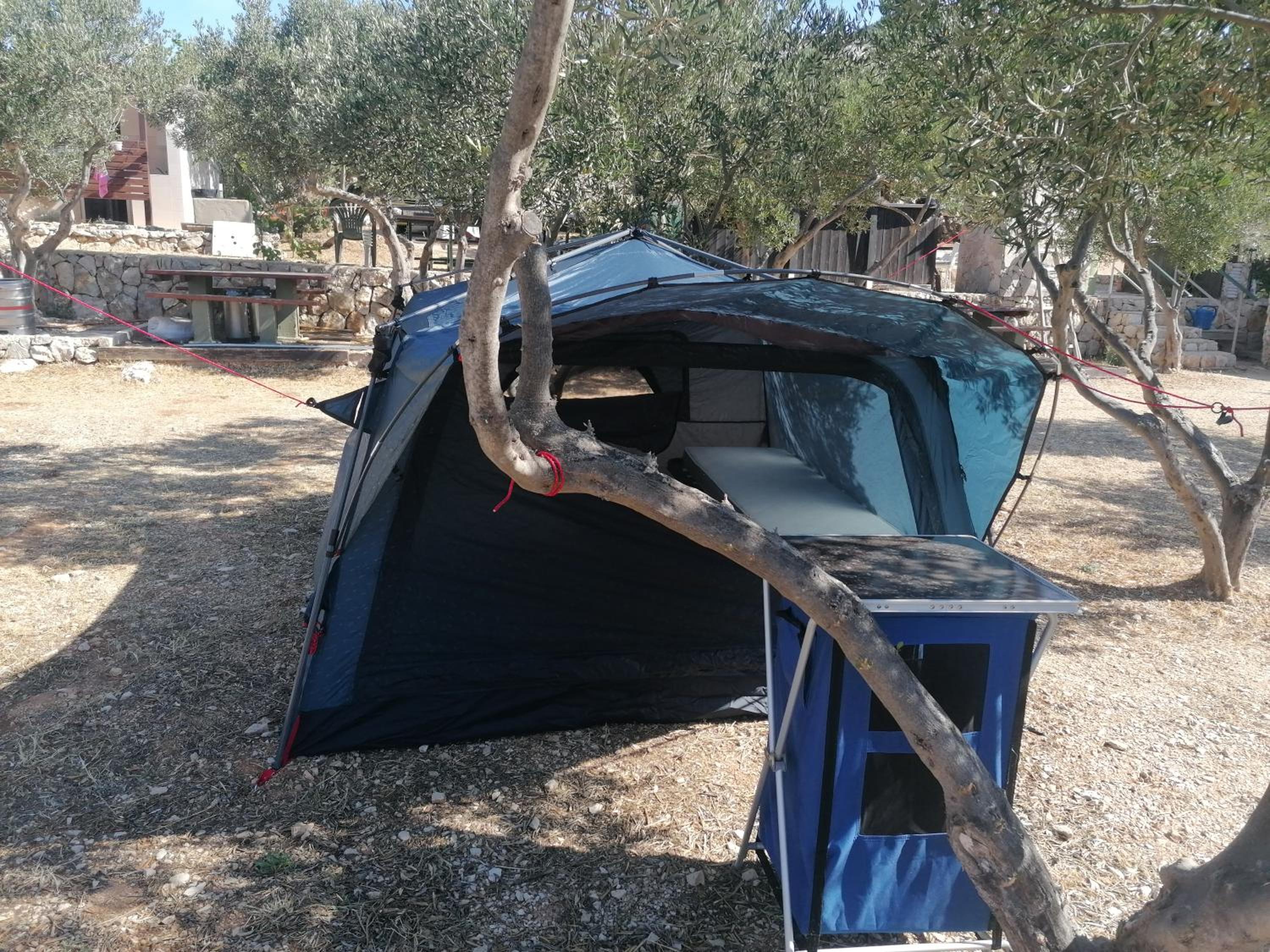 Empty Lot - Photo 4