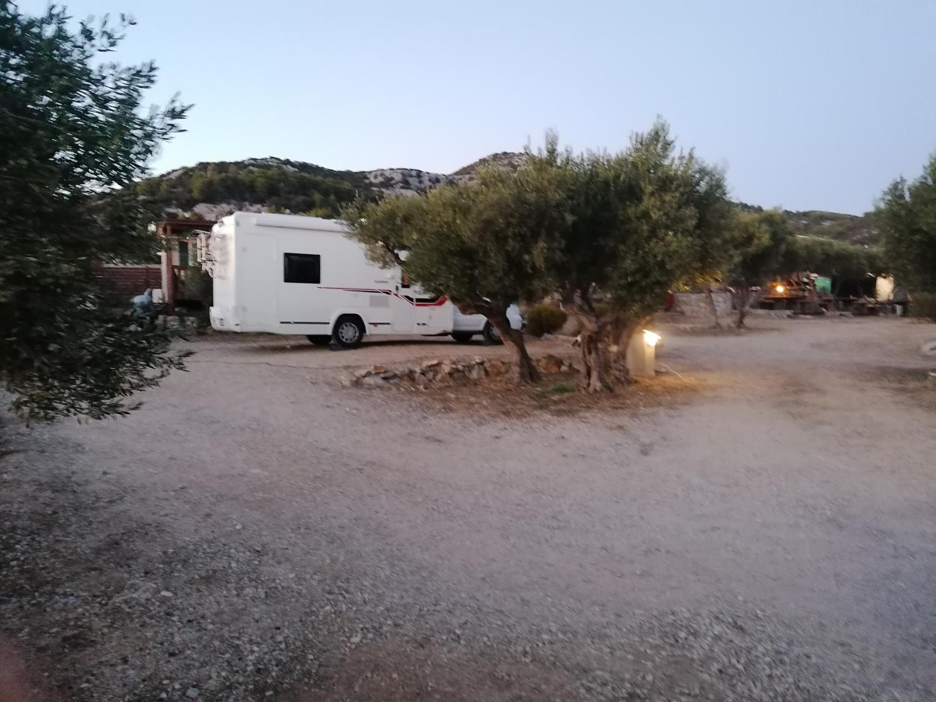 Empty Lot - Photo 7