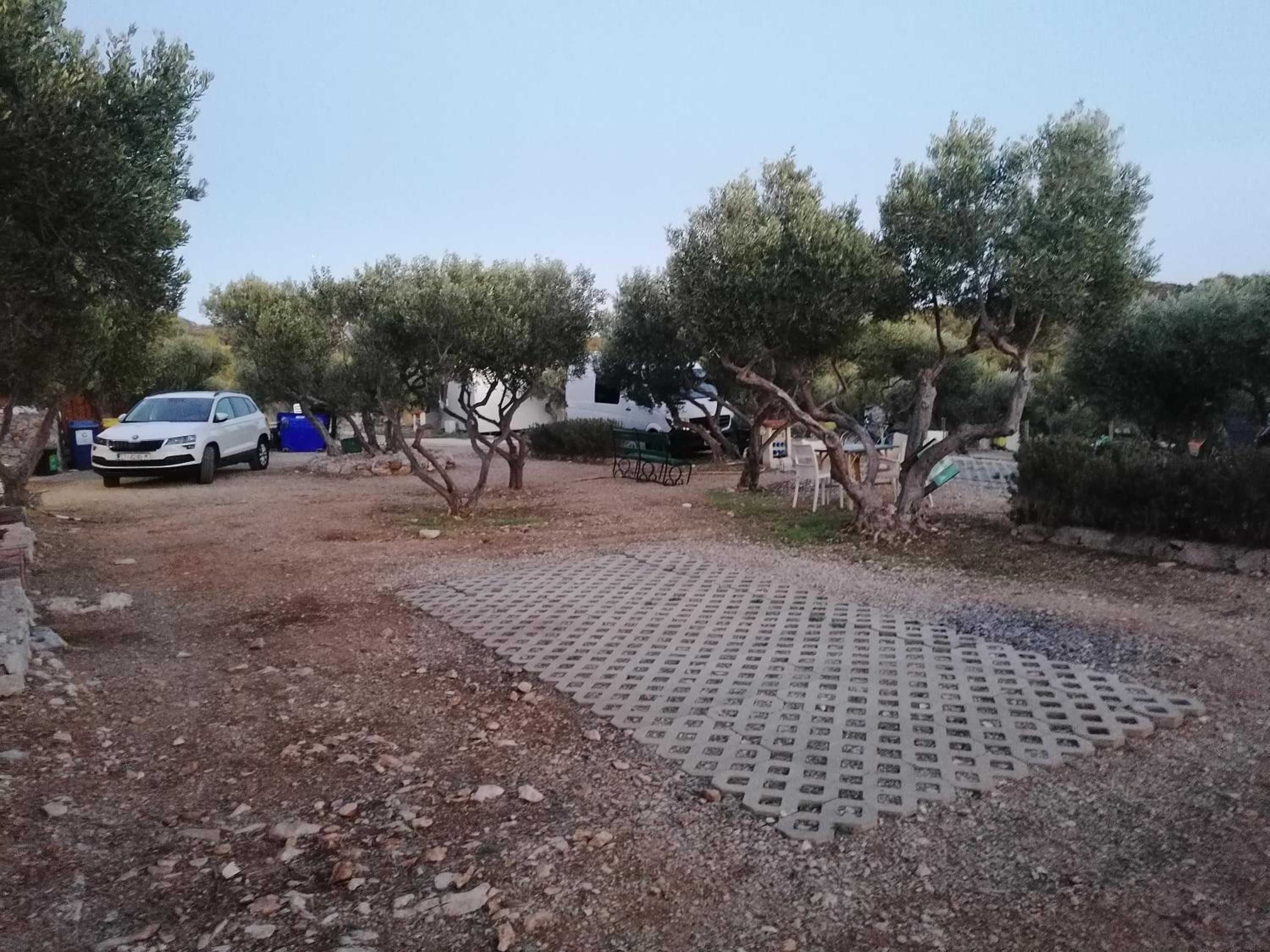 Empty Lot - Photo 3