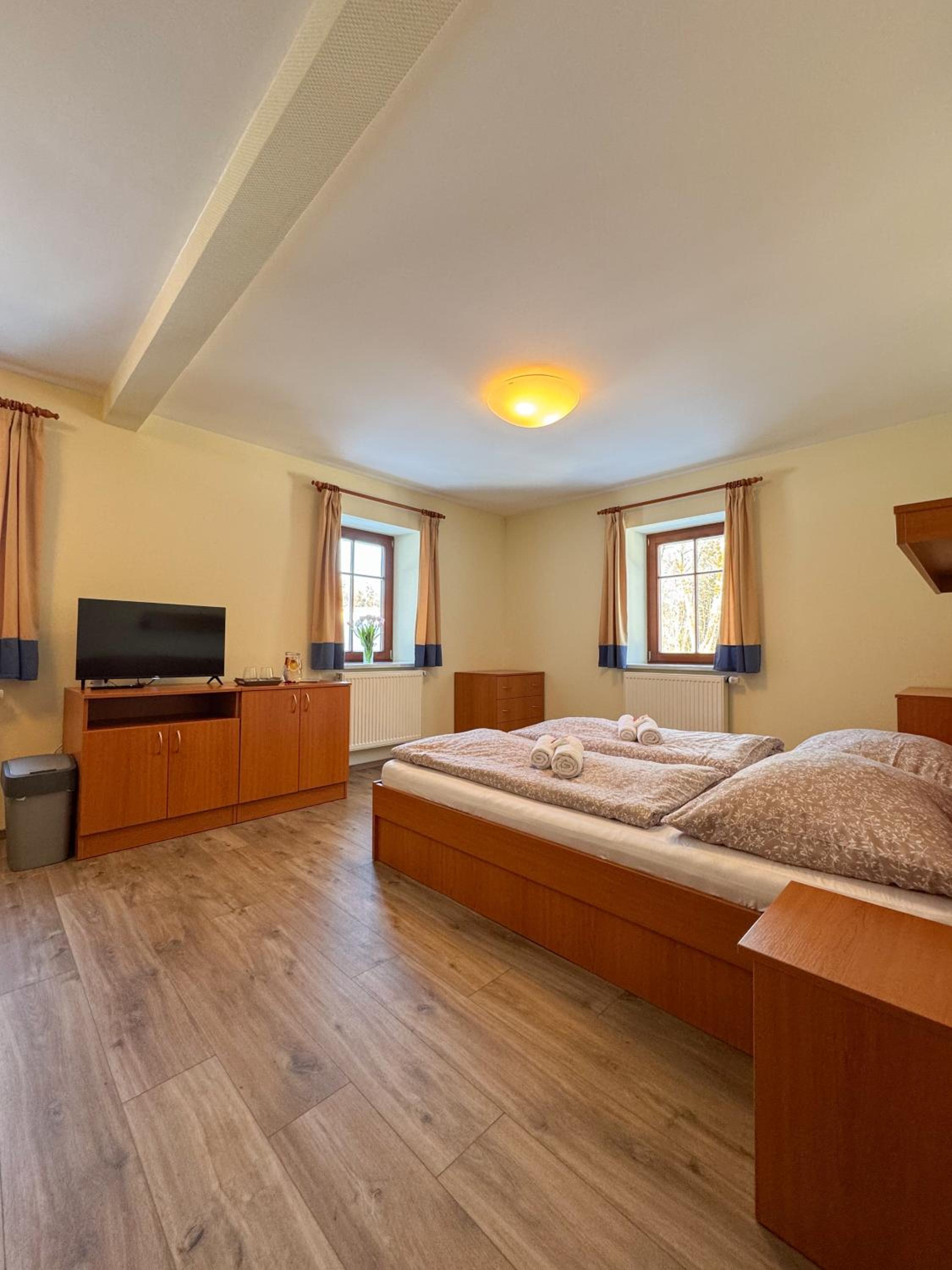 Large Double Room photo 2