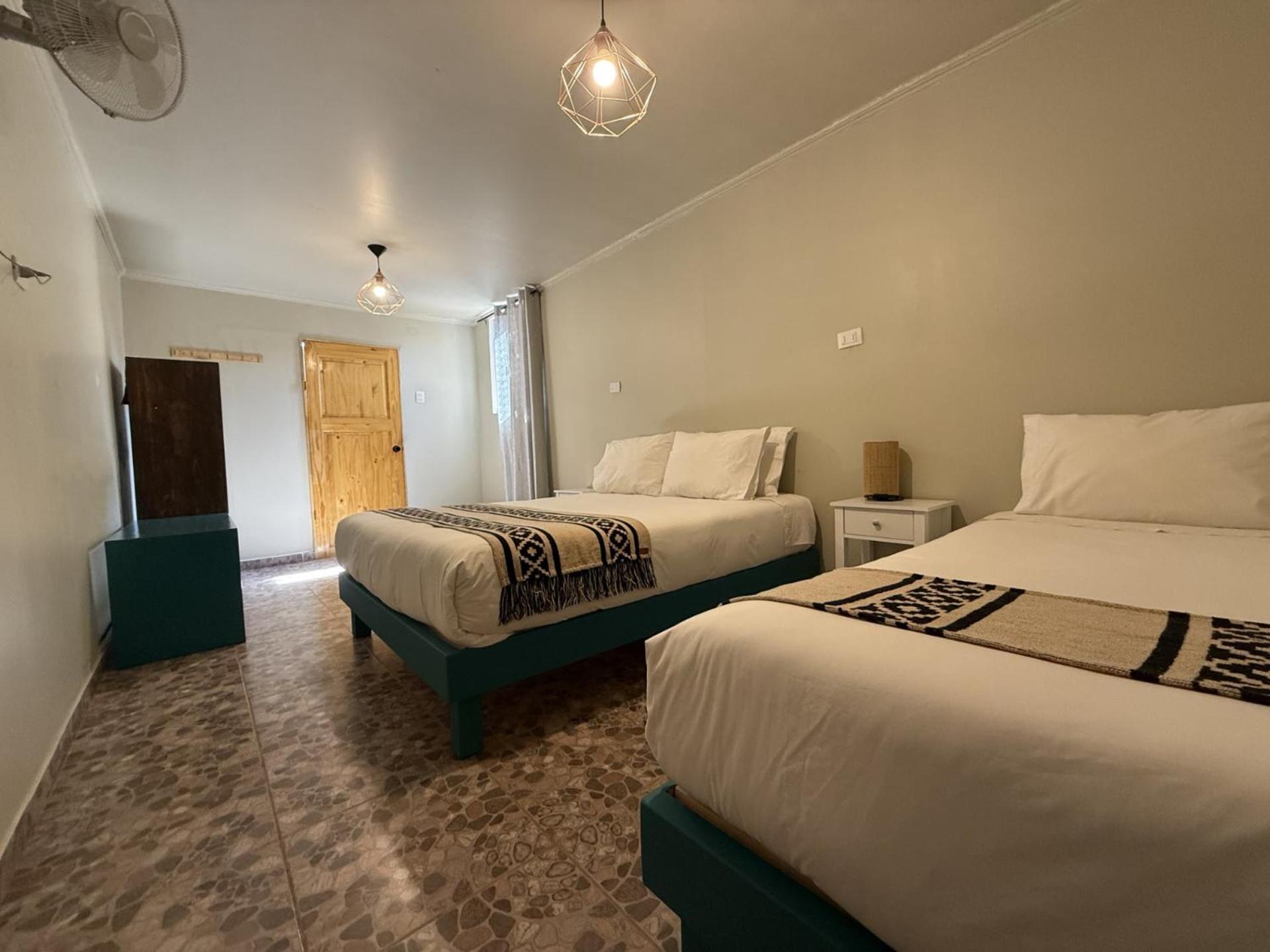 Double or Twin Room photo 3