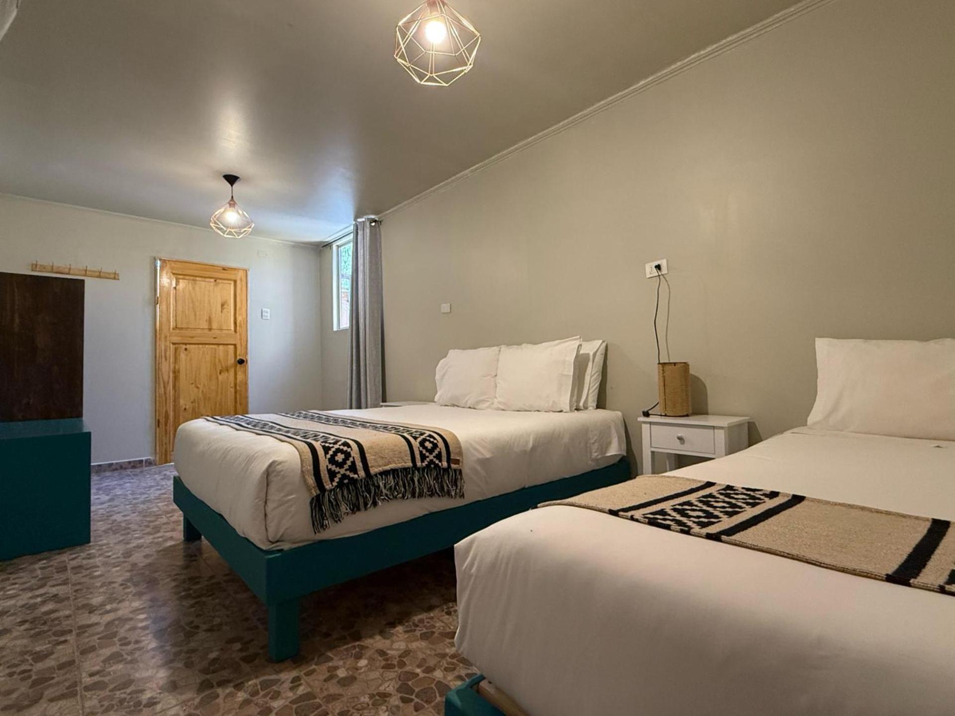 Double or Twin Room photo 1