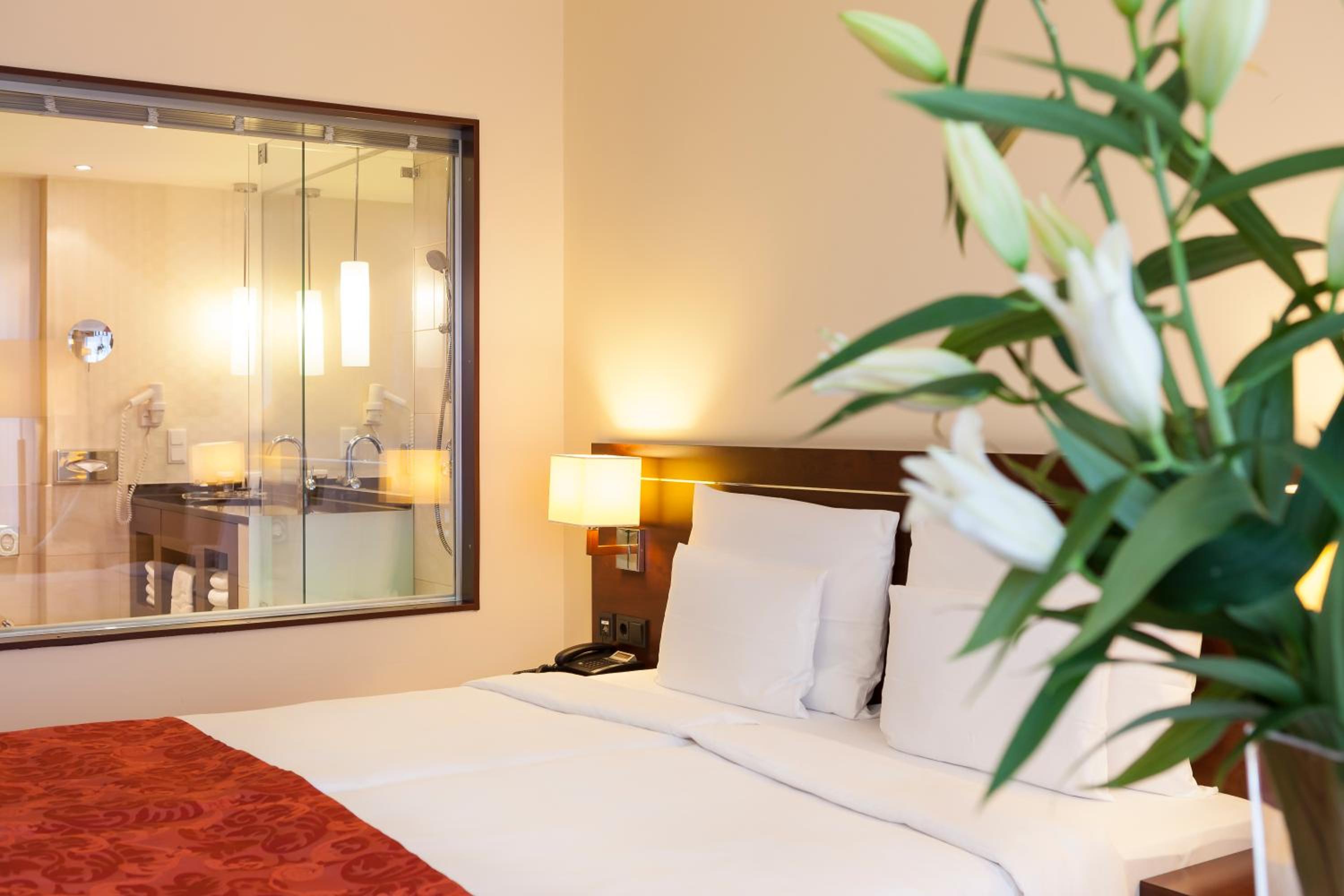 Superior Double Room photo 3