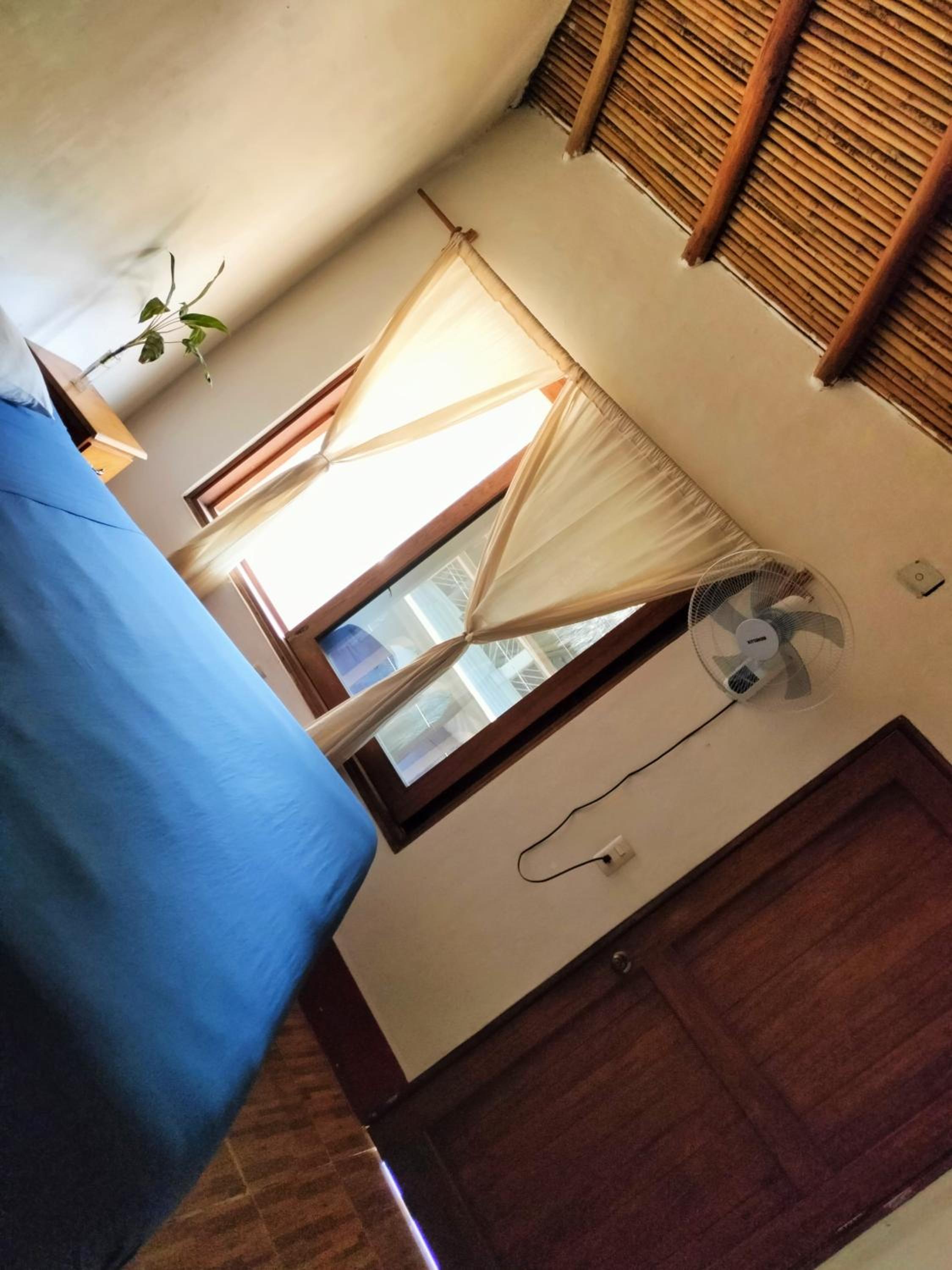 King Room photo 2