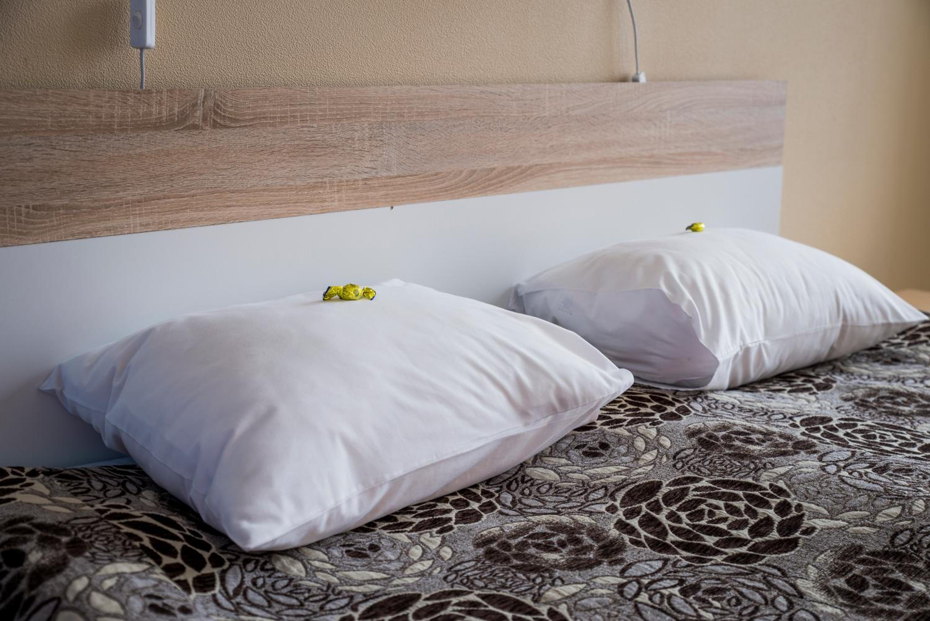 Standard Twin or Double Room - Photo 1