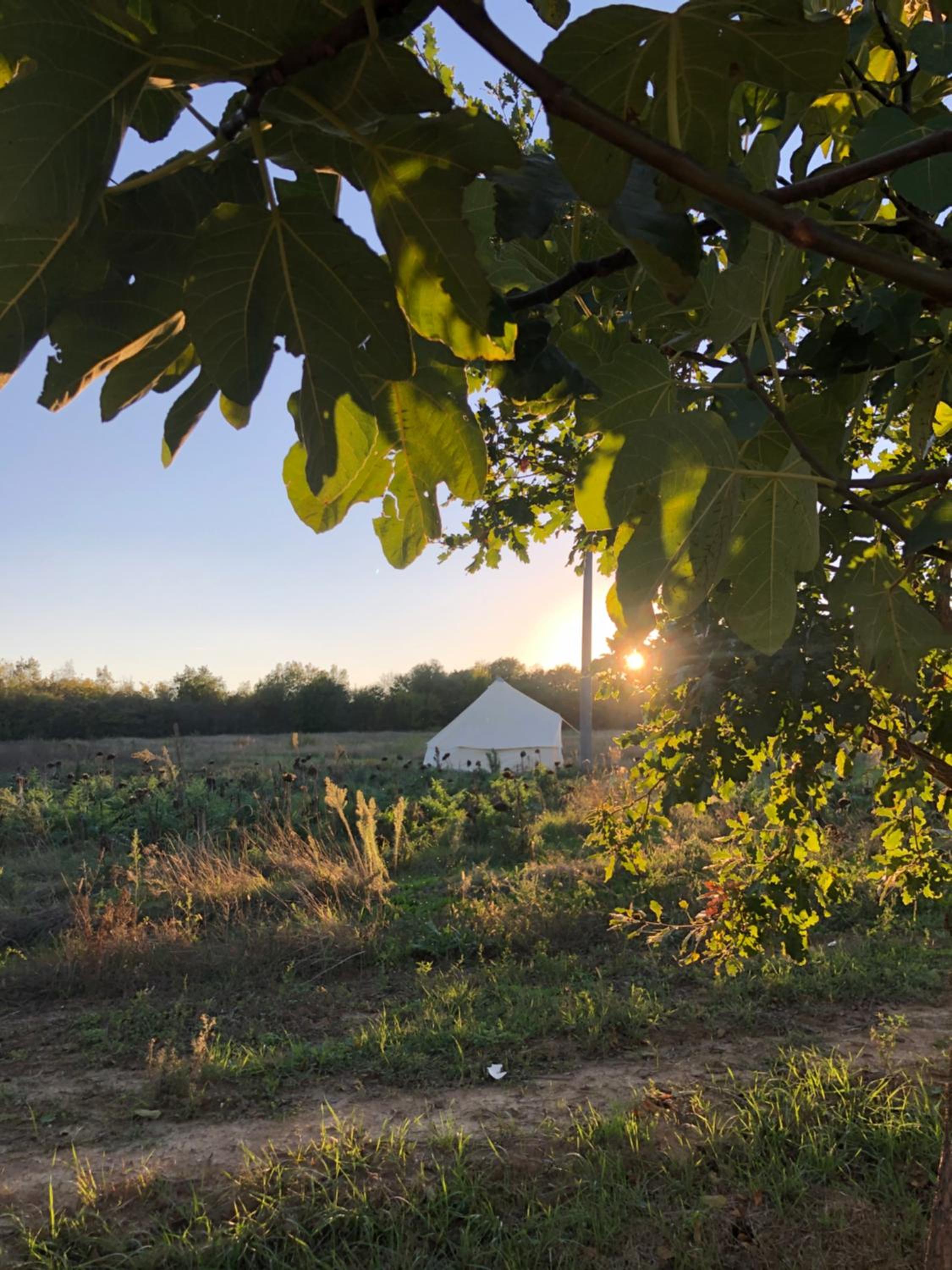 Tent photo 2