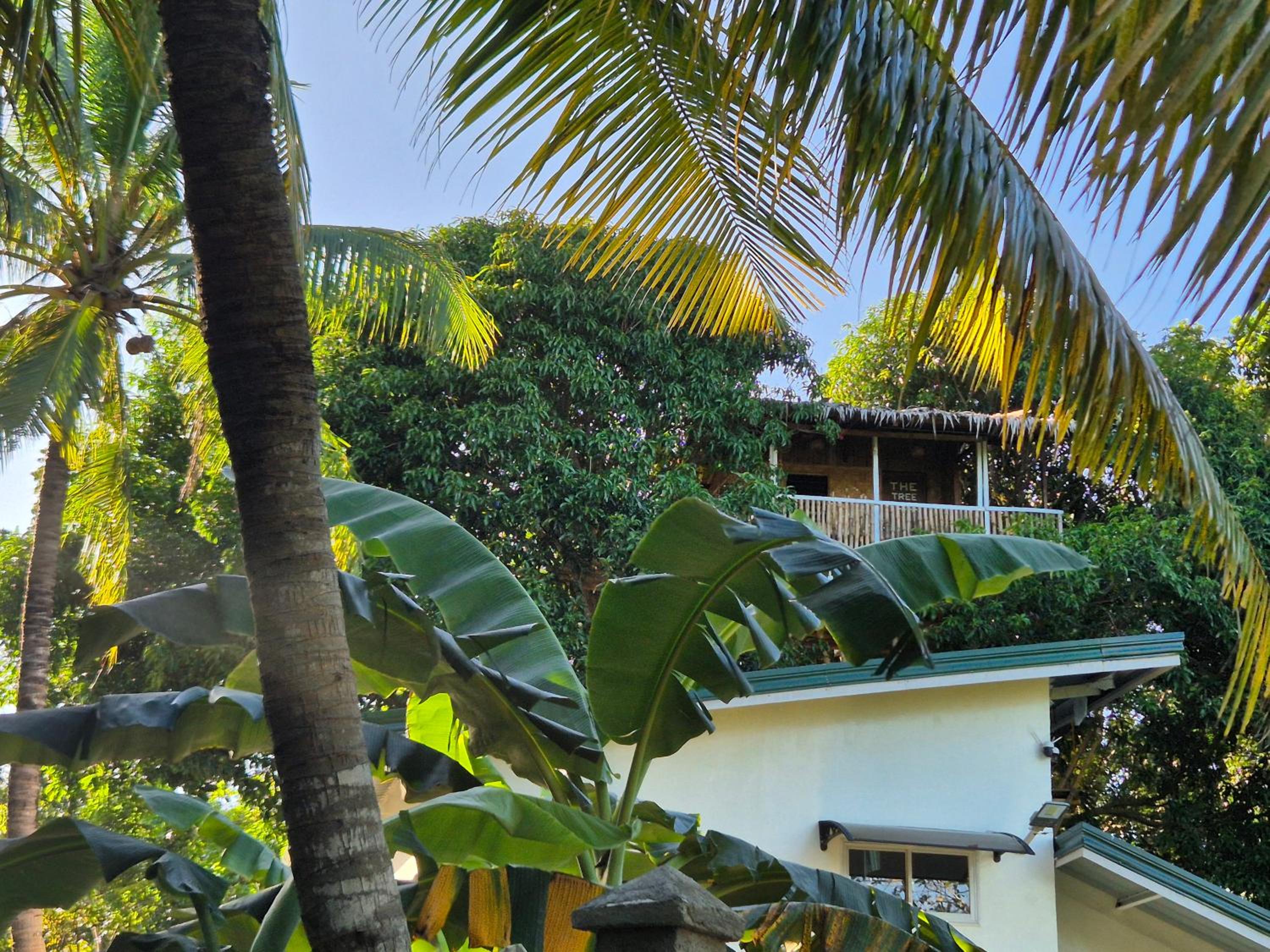 Bungalow with Sea View photo 2